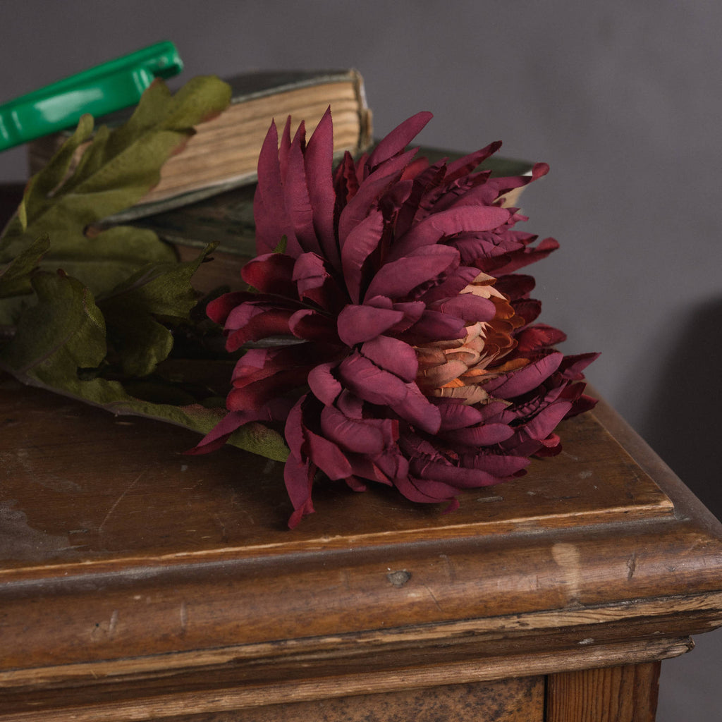 Autumn Spider Chrysanthemum — detail close-up purple plastic