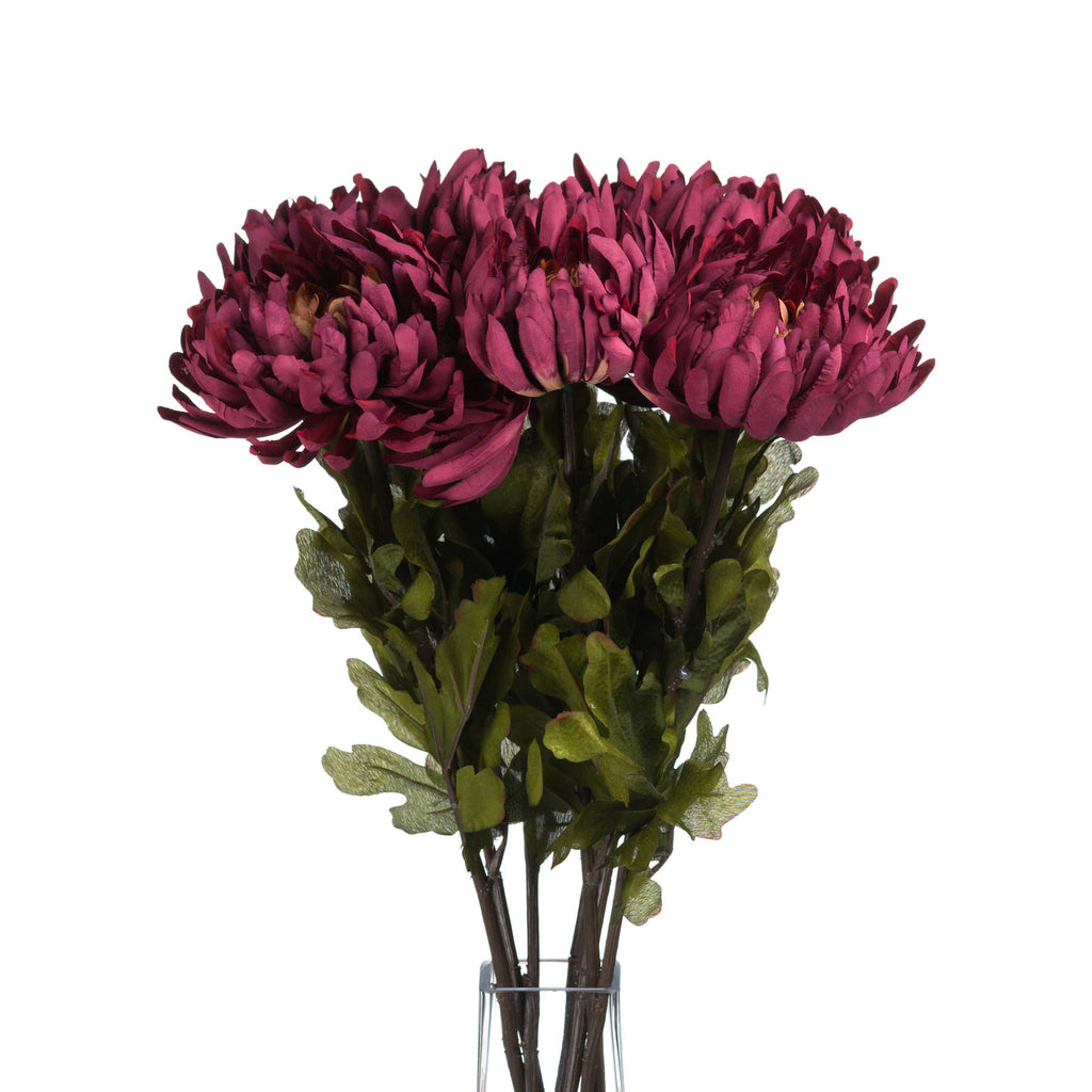 Autumn Spider Chrysanthemum — alternative angle purple plastic