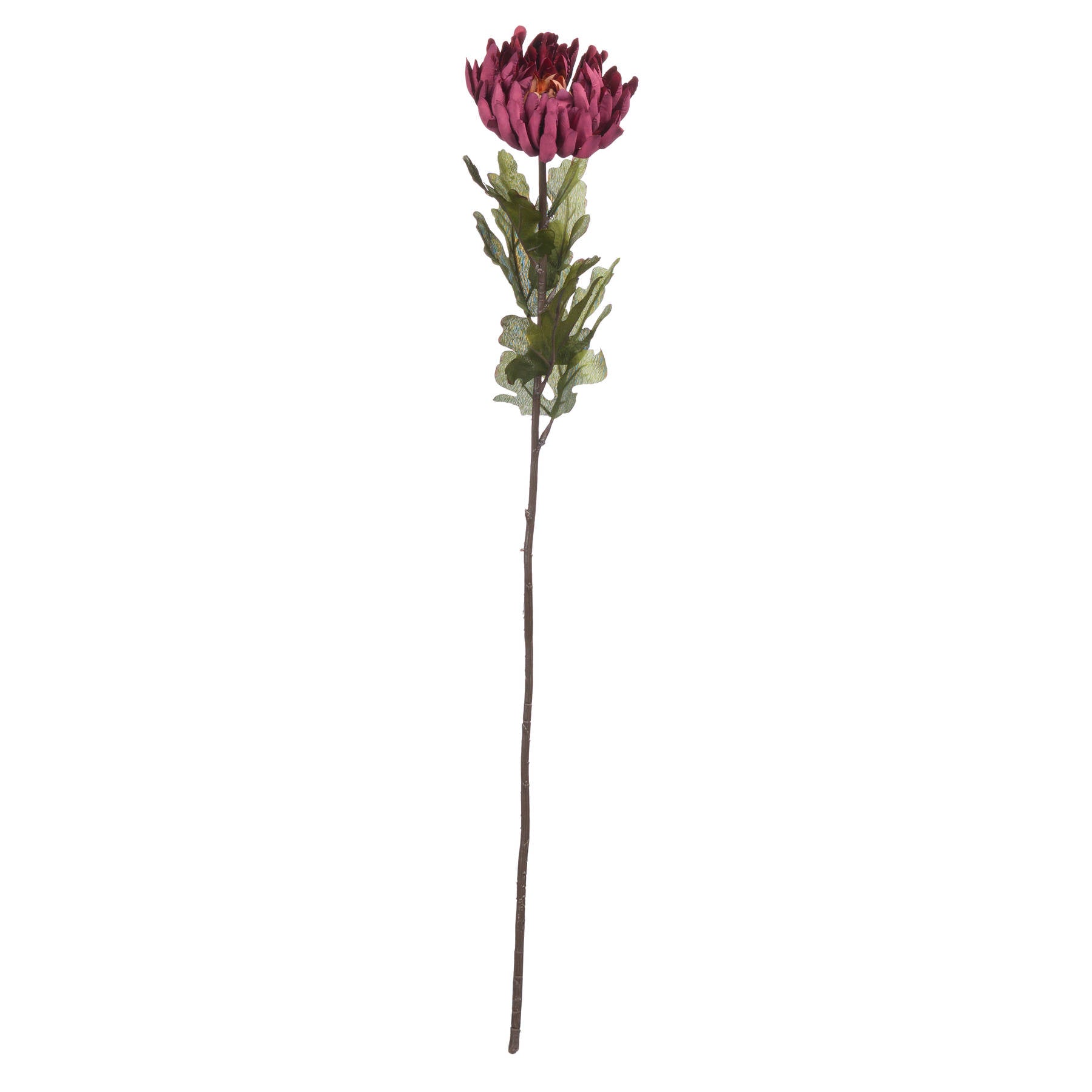 Autumn Spider Chrysanthemum — view 5 purple plastic