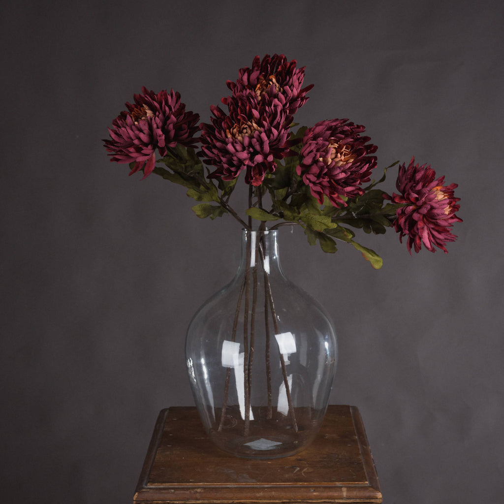 Autumn Spider Chrysanthemum — main product view