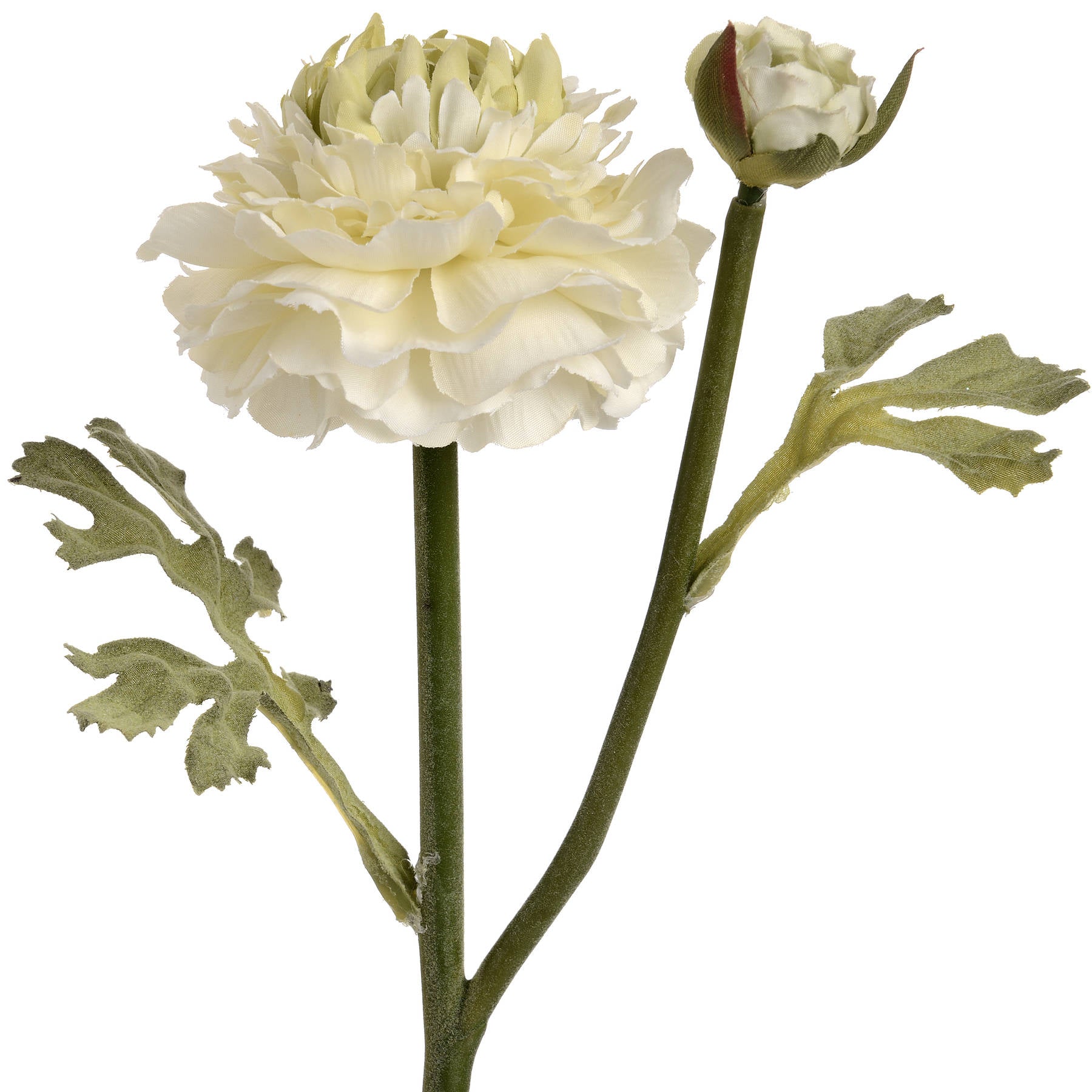 Green Ranunculus Spray — alternative angle green plastic