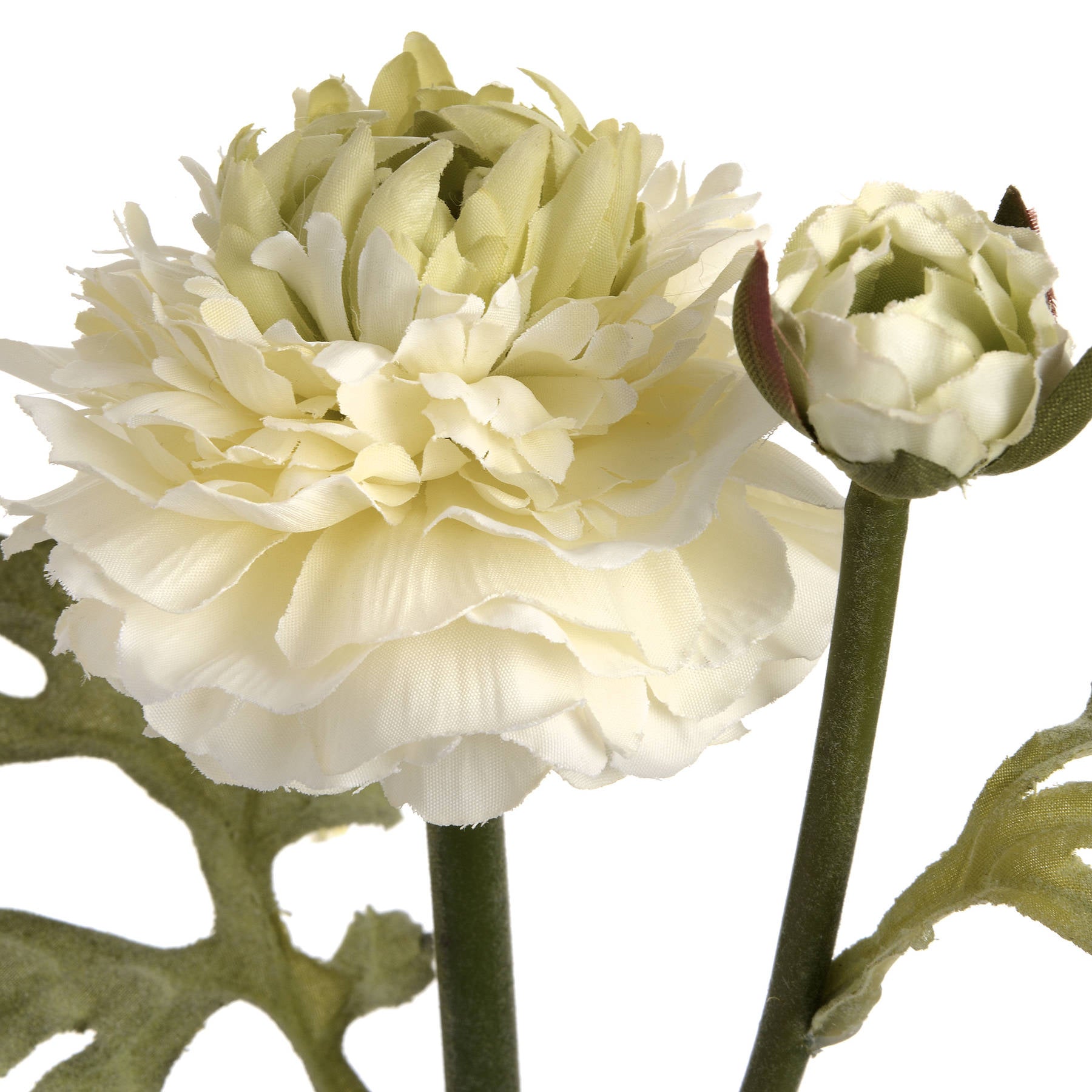 Green Ranunculus Spray — view 5 green plastic