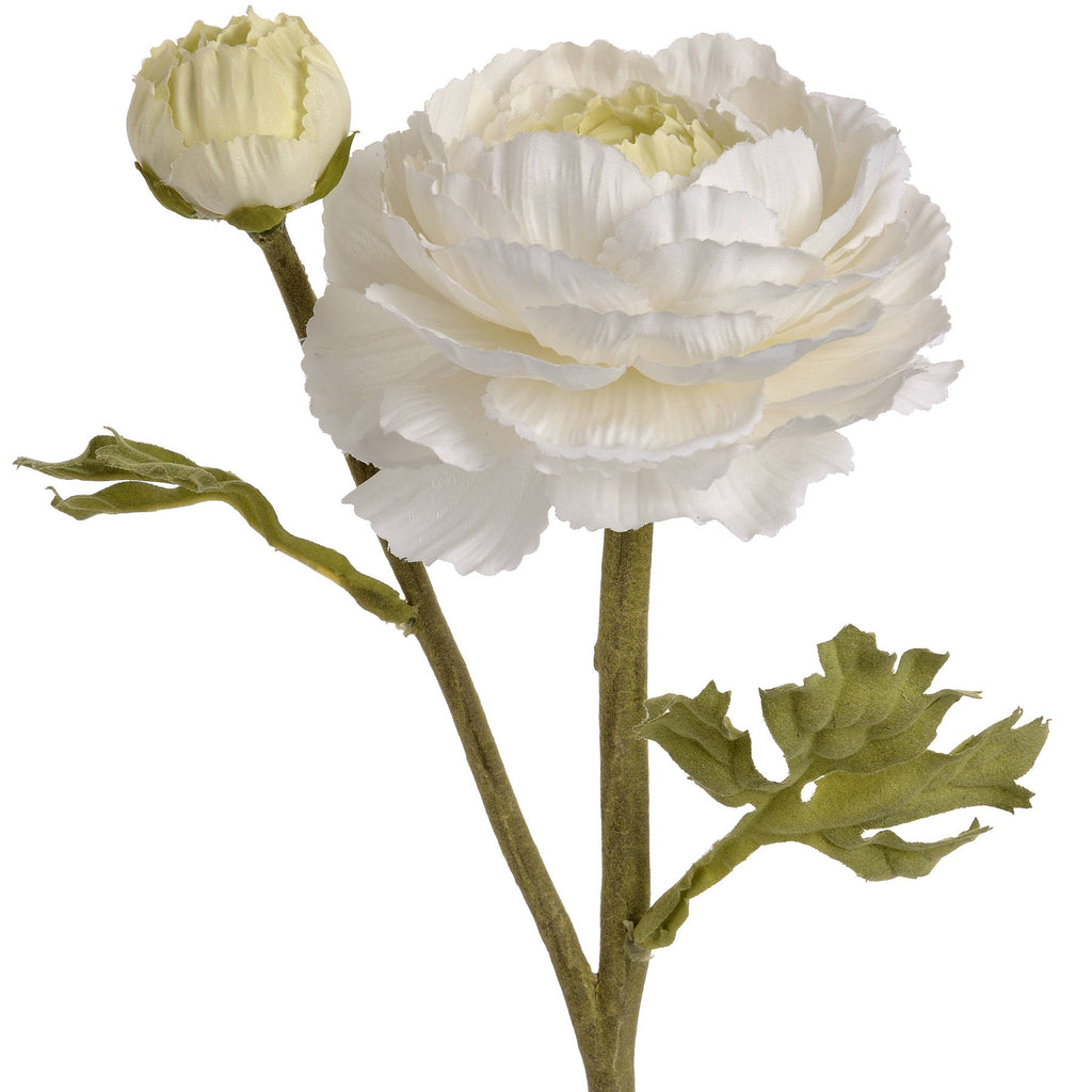 White Ranunculus Spray — alternative angle white plastic