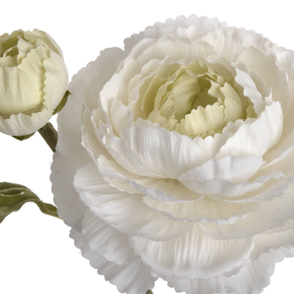 White Ranunculus Spray — view 5 white plastic