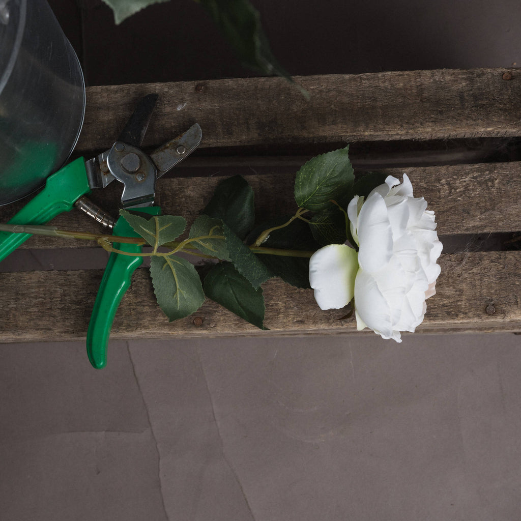 Blush Garden Rose — side view pink plastic