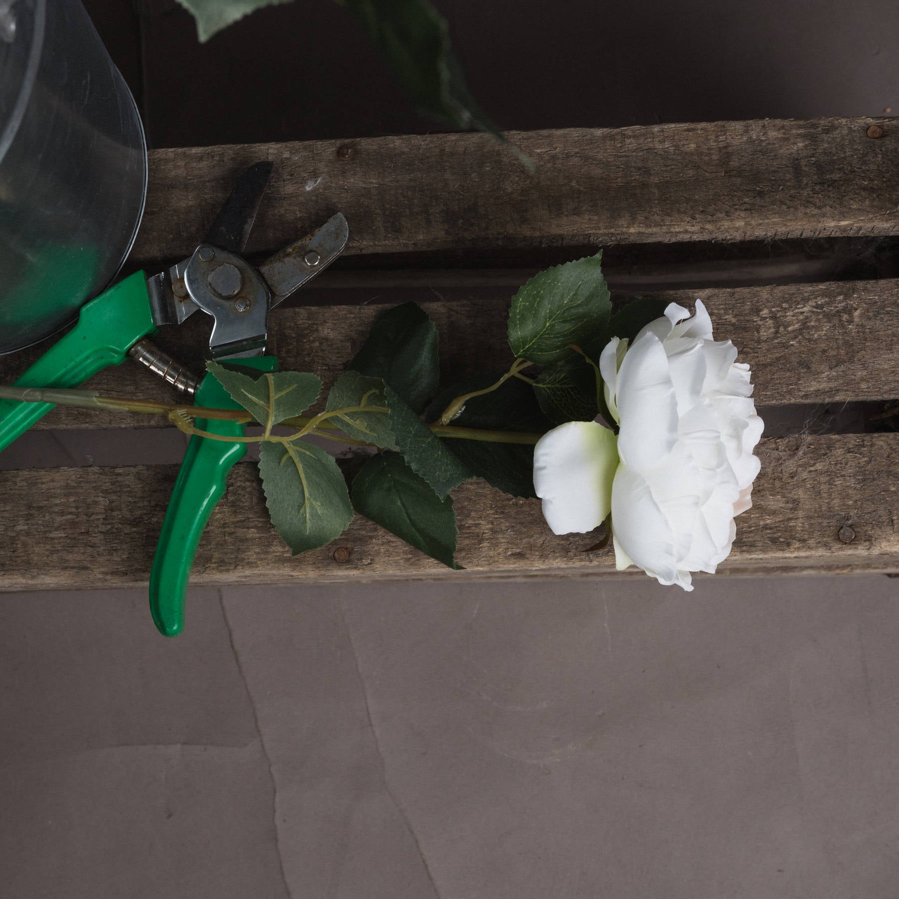 Blush Garden Rose — side view pink plastic