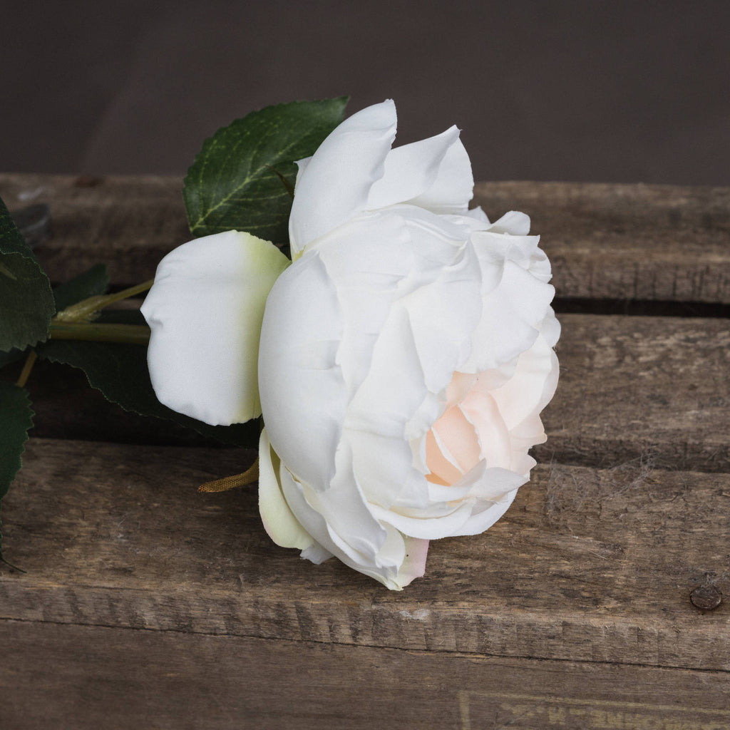 Blush Garden Rose — detail close-up pink plastic