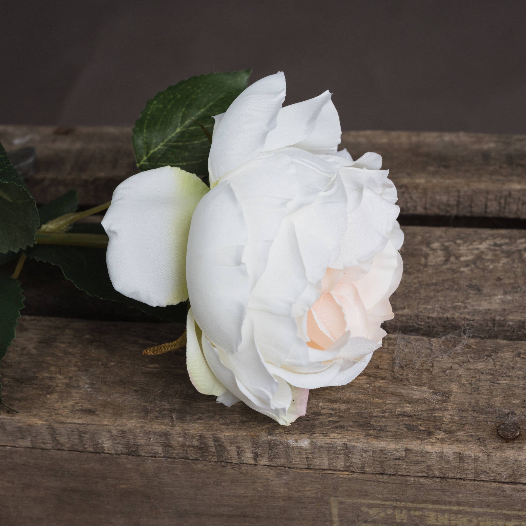 Blush Garden Rose — detail close-up pink plastic