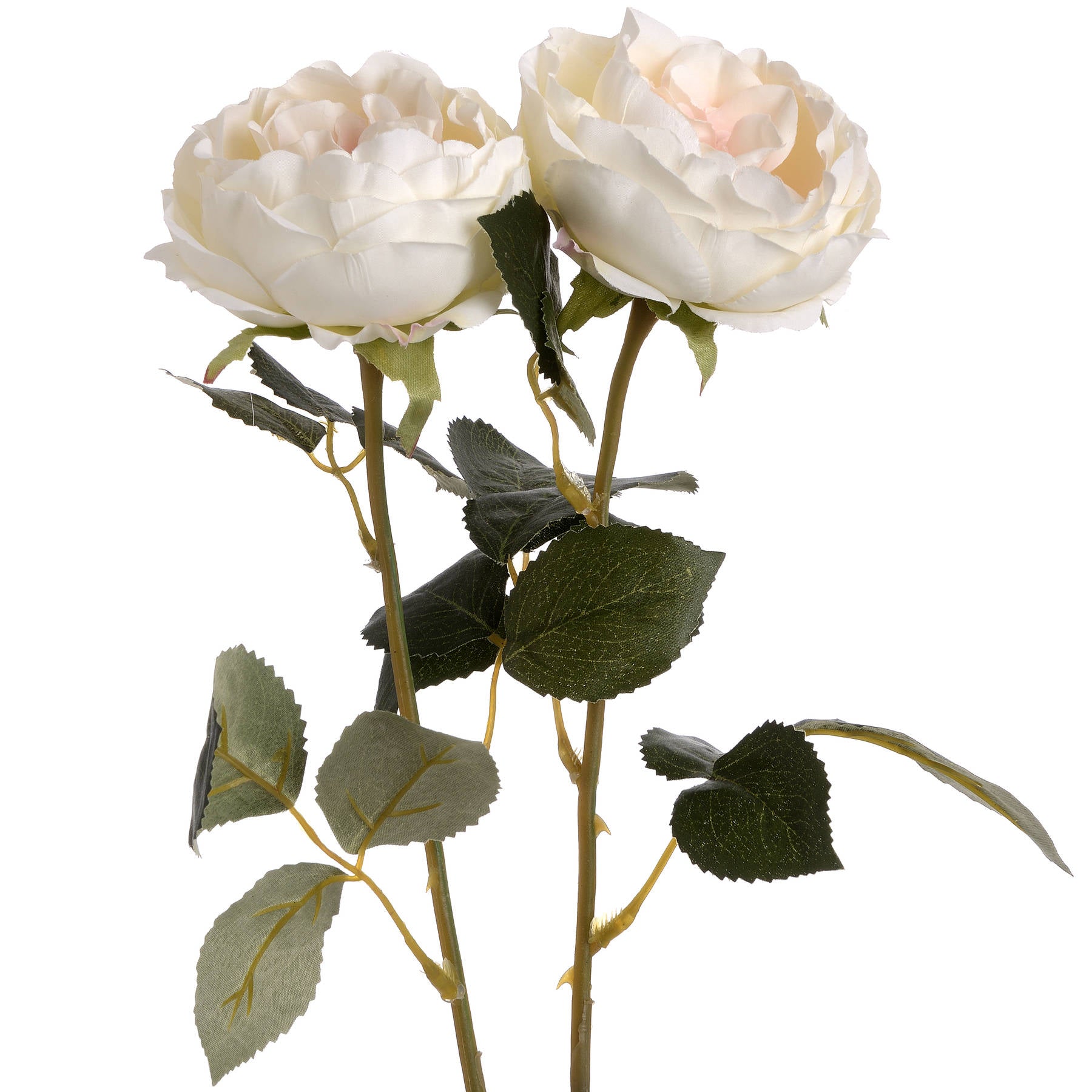 Blush Garden Rose — alternative angle pink plastic