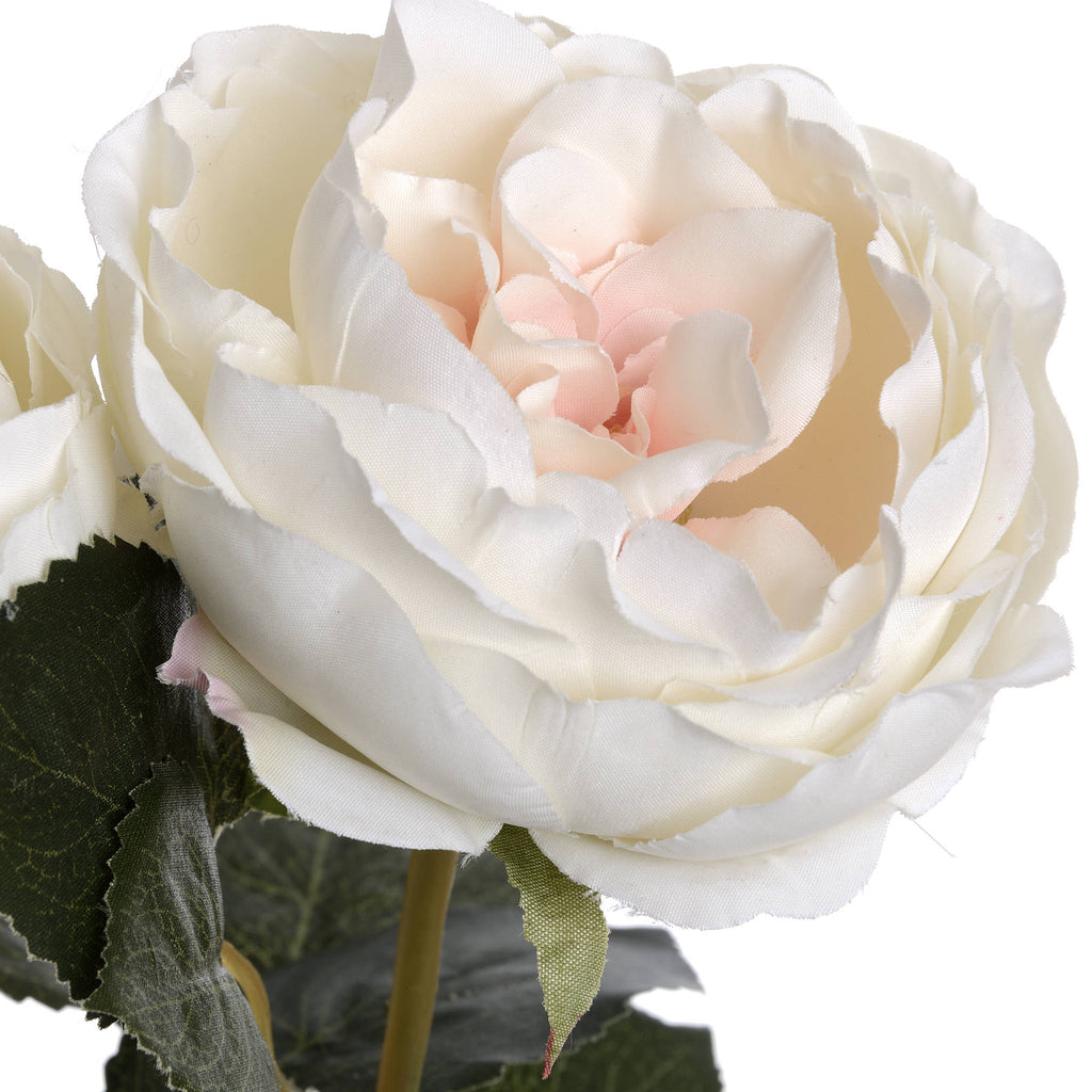 Blush Garden Rose — view 5 pink plastic