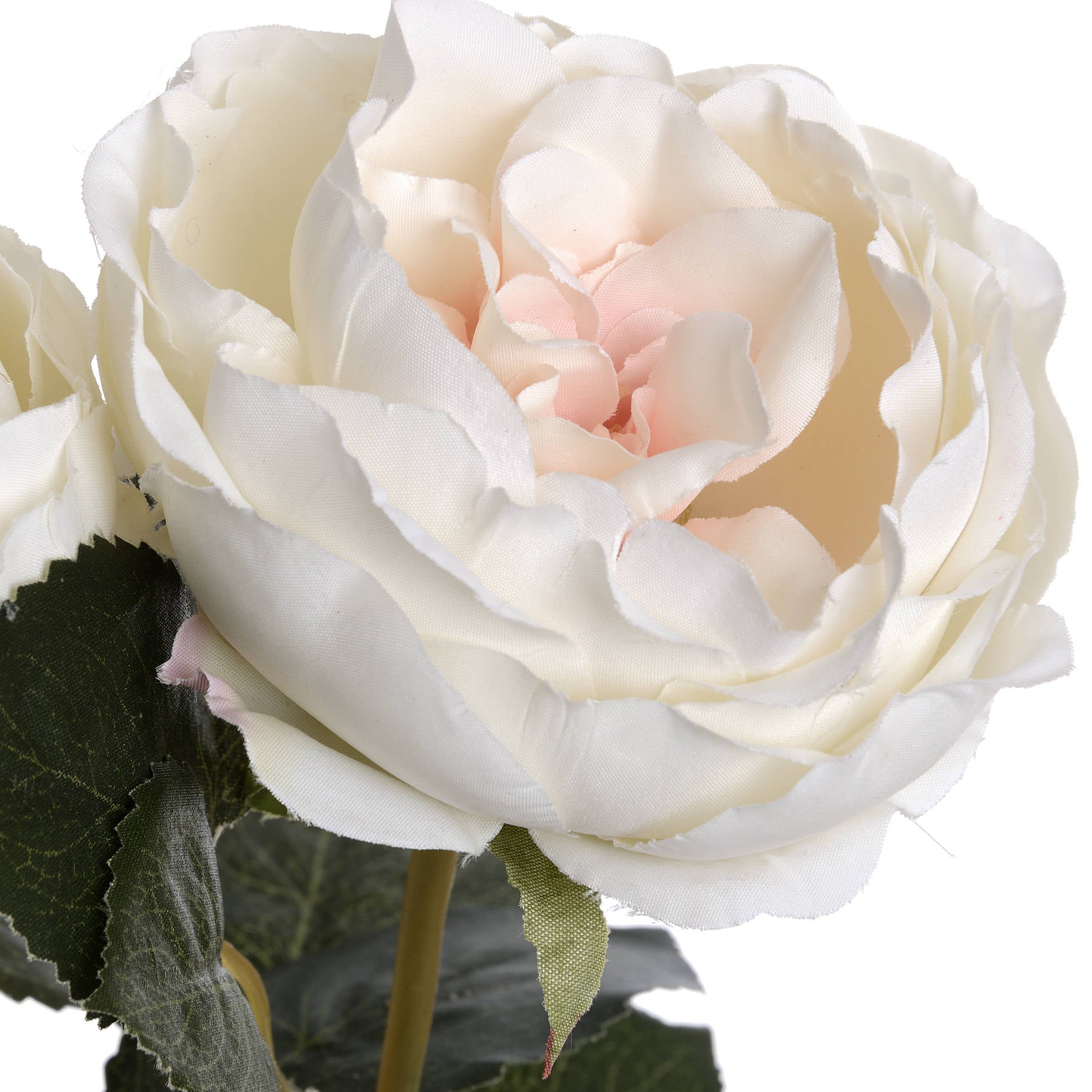 Blush Garden Rose — view 5 pink plastic