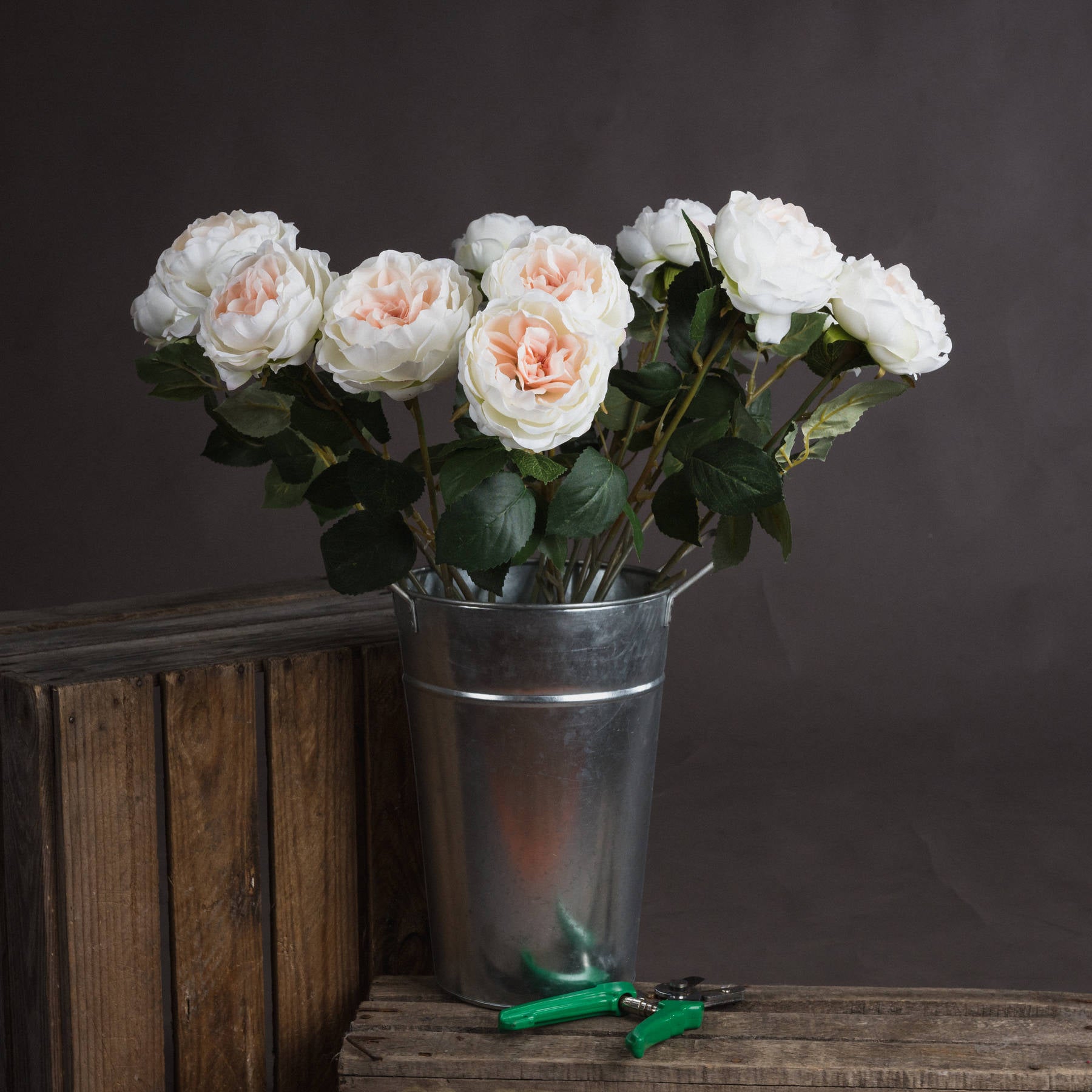Blush Garden Rose — main product view