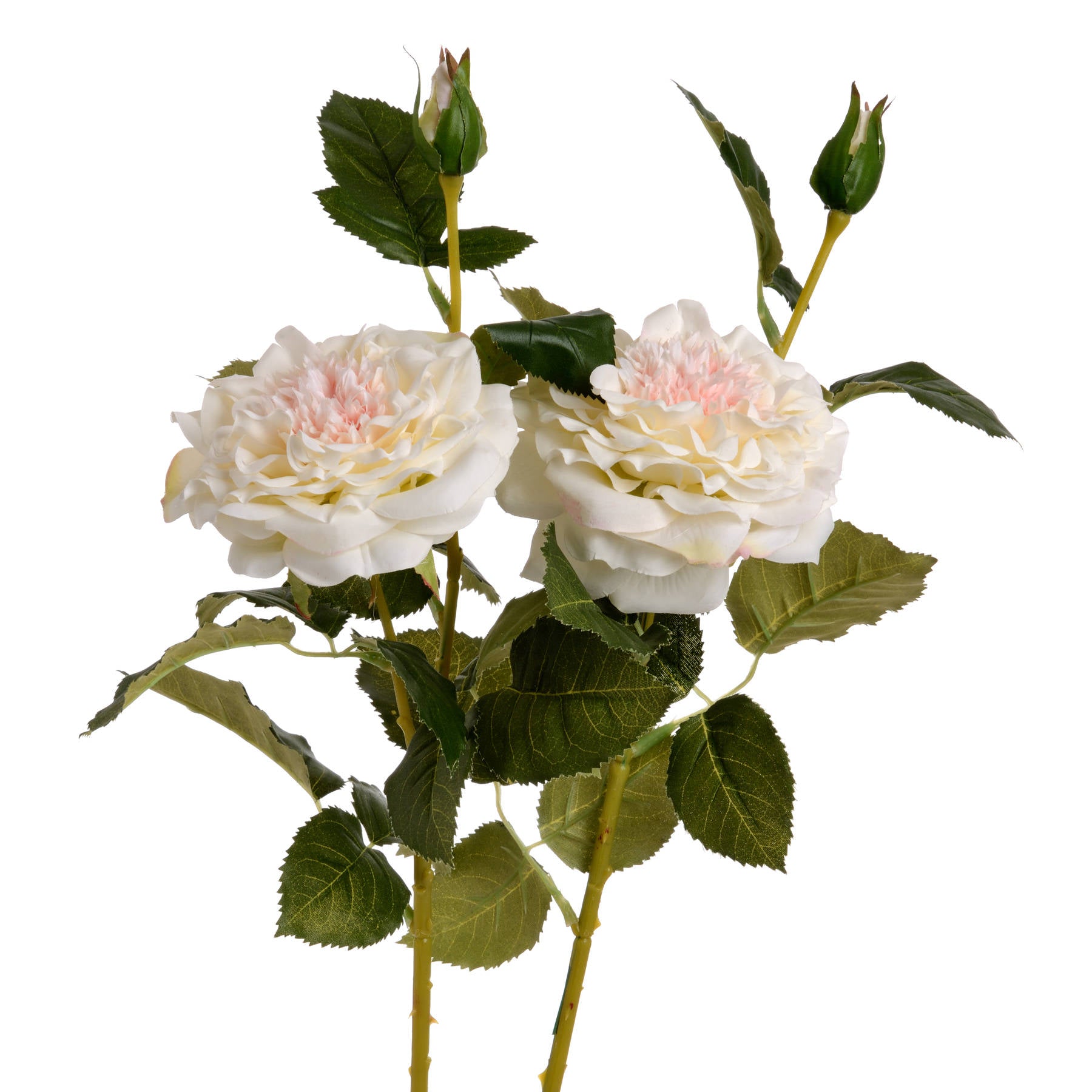 White Garden Rose Spray — alternative angle white plastic