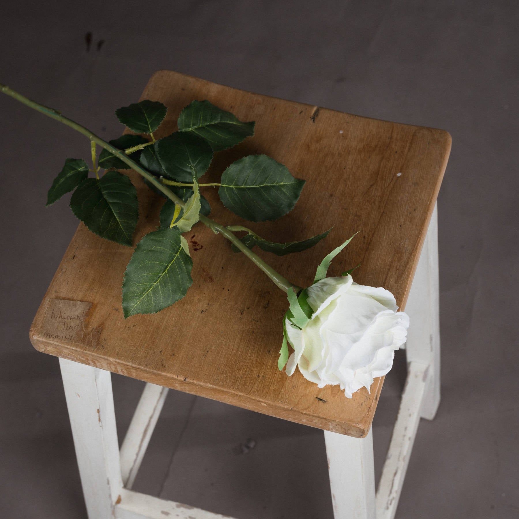 Traditional White Rose — side view white plastic
