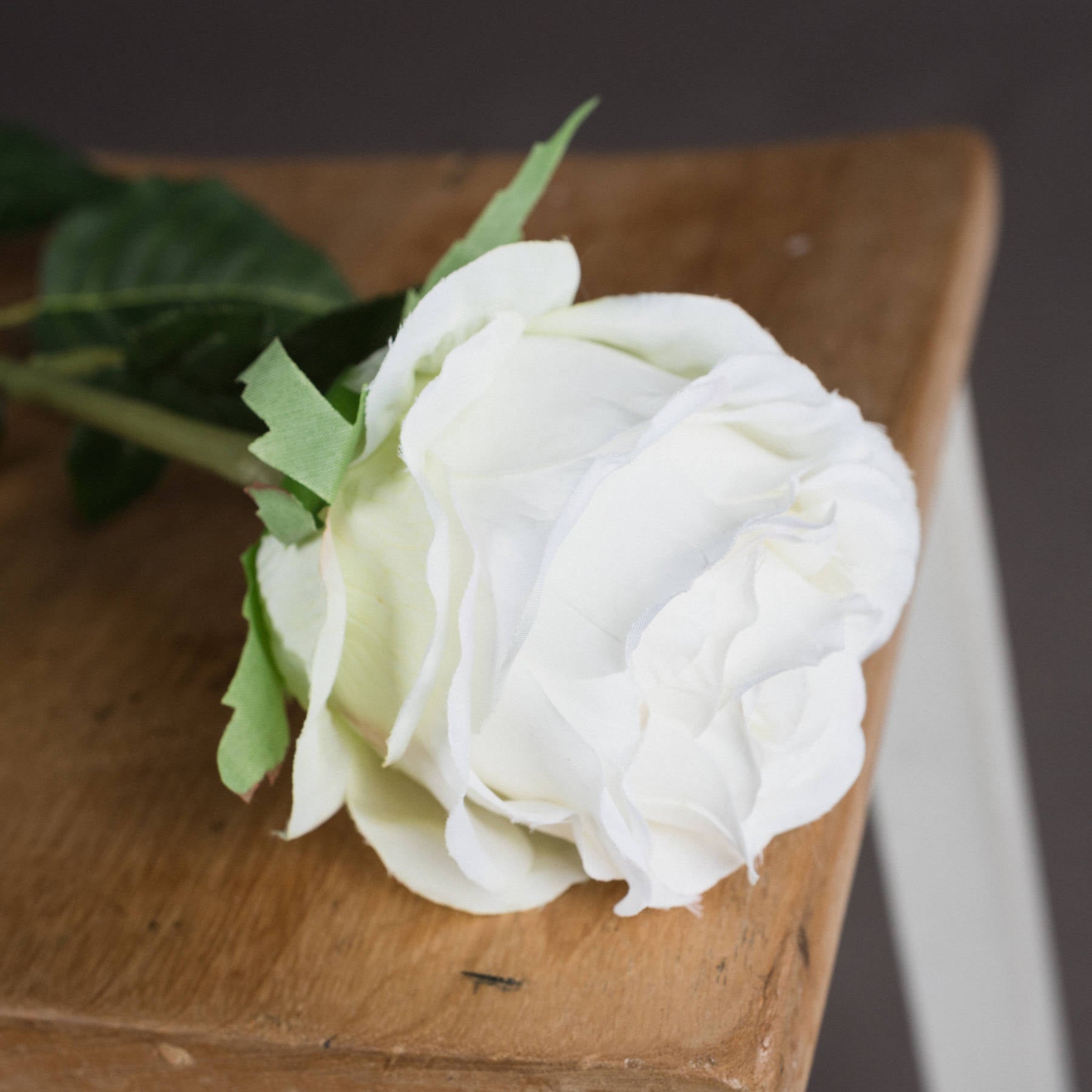 Traditional White Rose — detail close-up white plastic