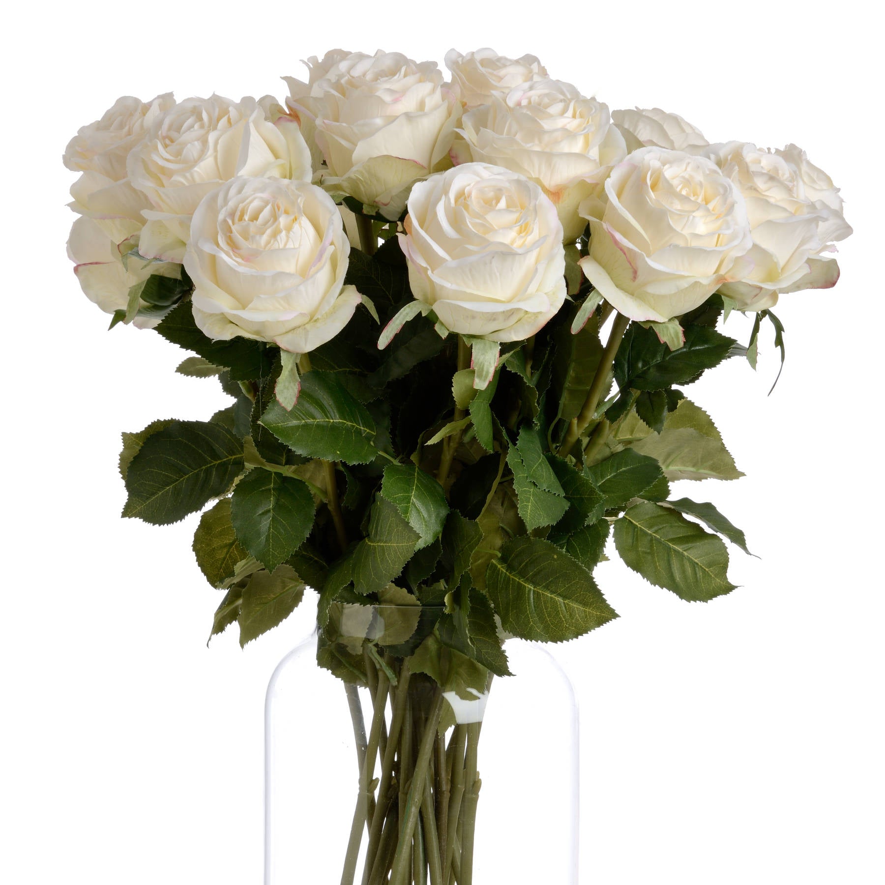 Traditional White Rose — alternative angle white plastic