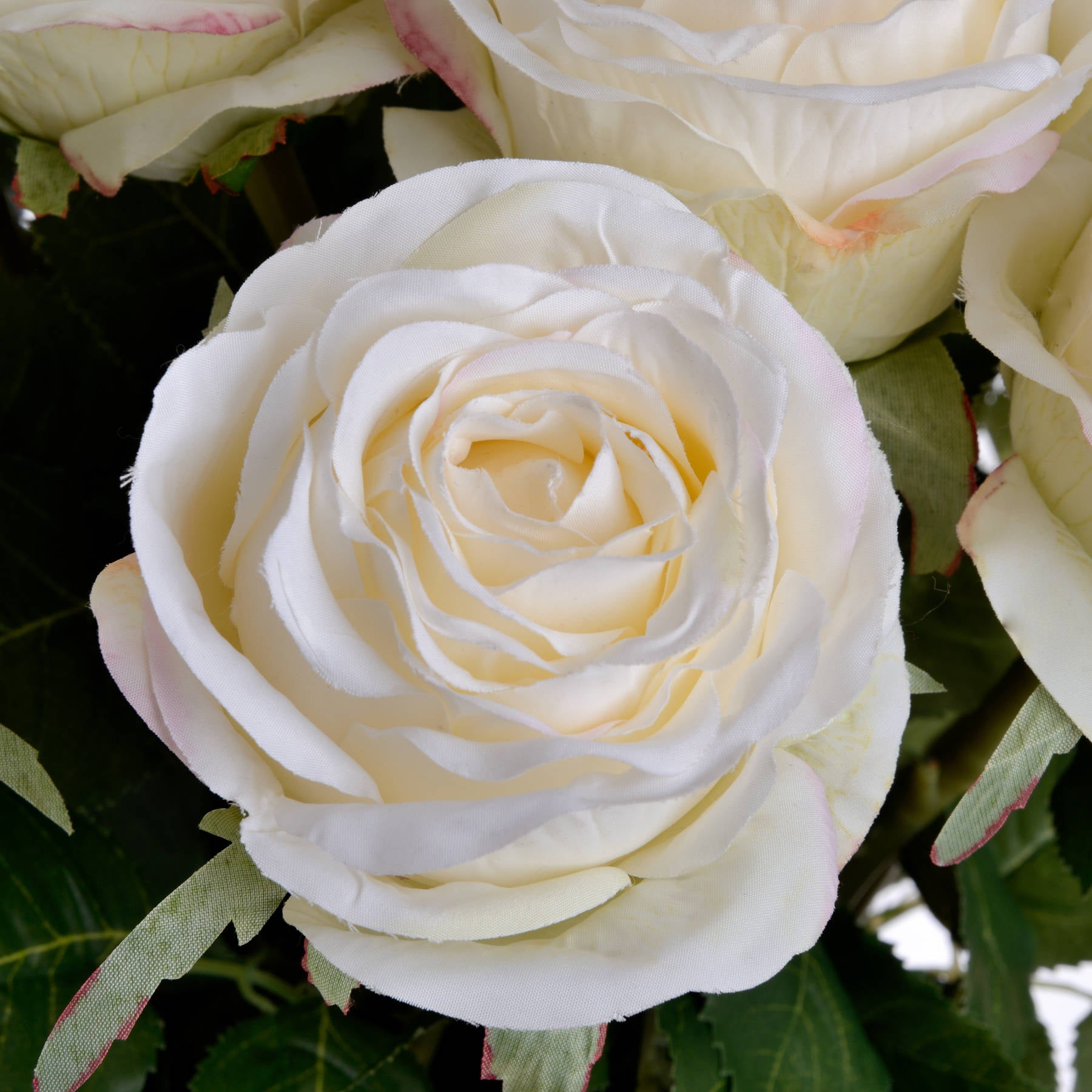 Traditional White Rose — view 5 white plastic