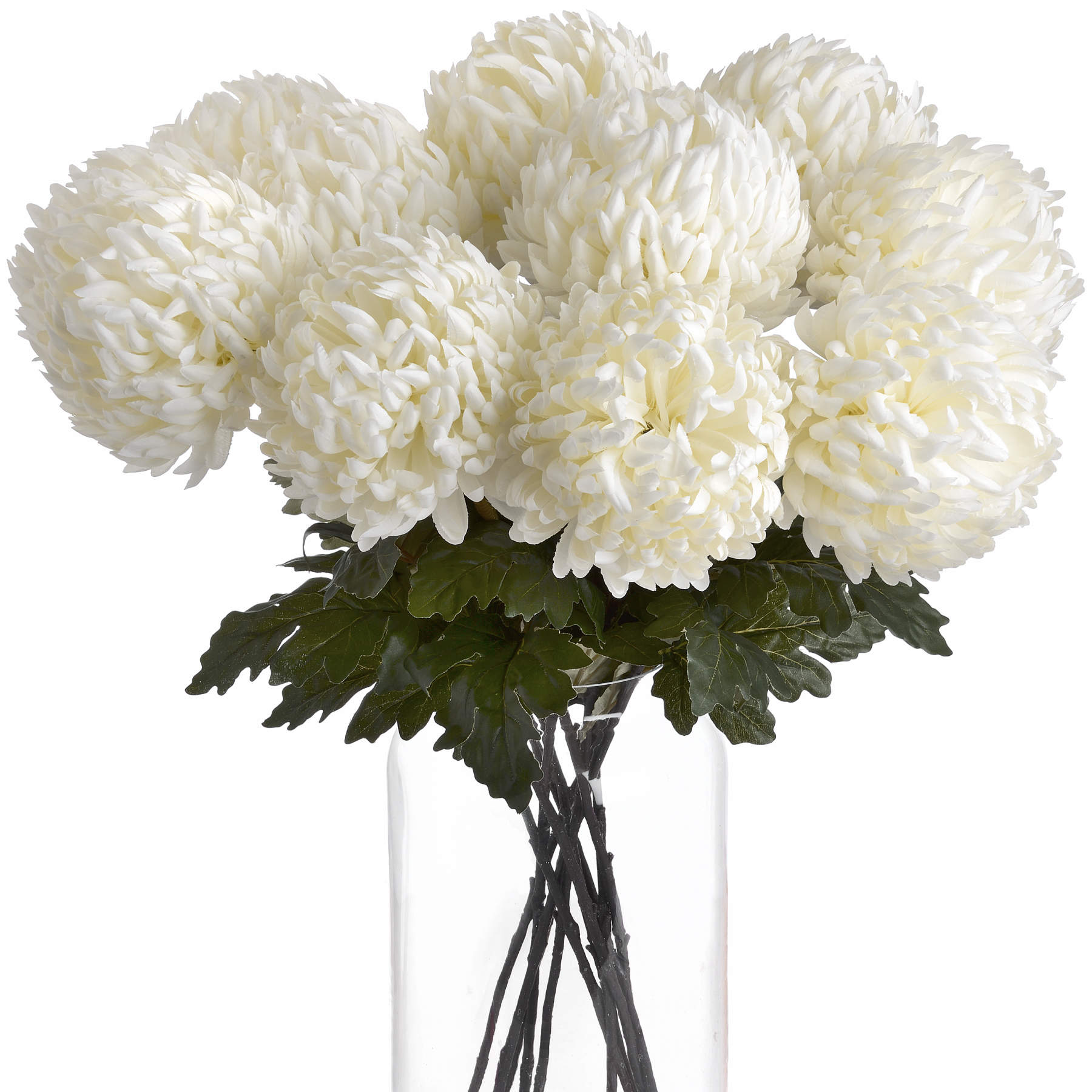 Large White Chrysanthemum — detail close-up white plastic