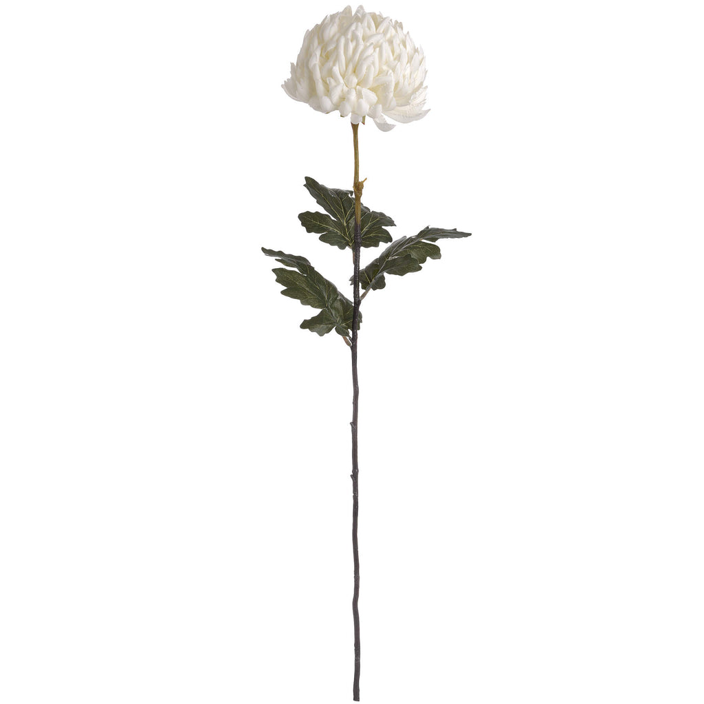 Large White Chrysanthemum — alternative angle white plastic