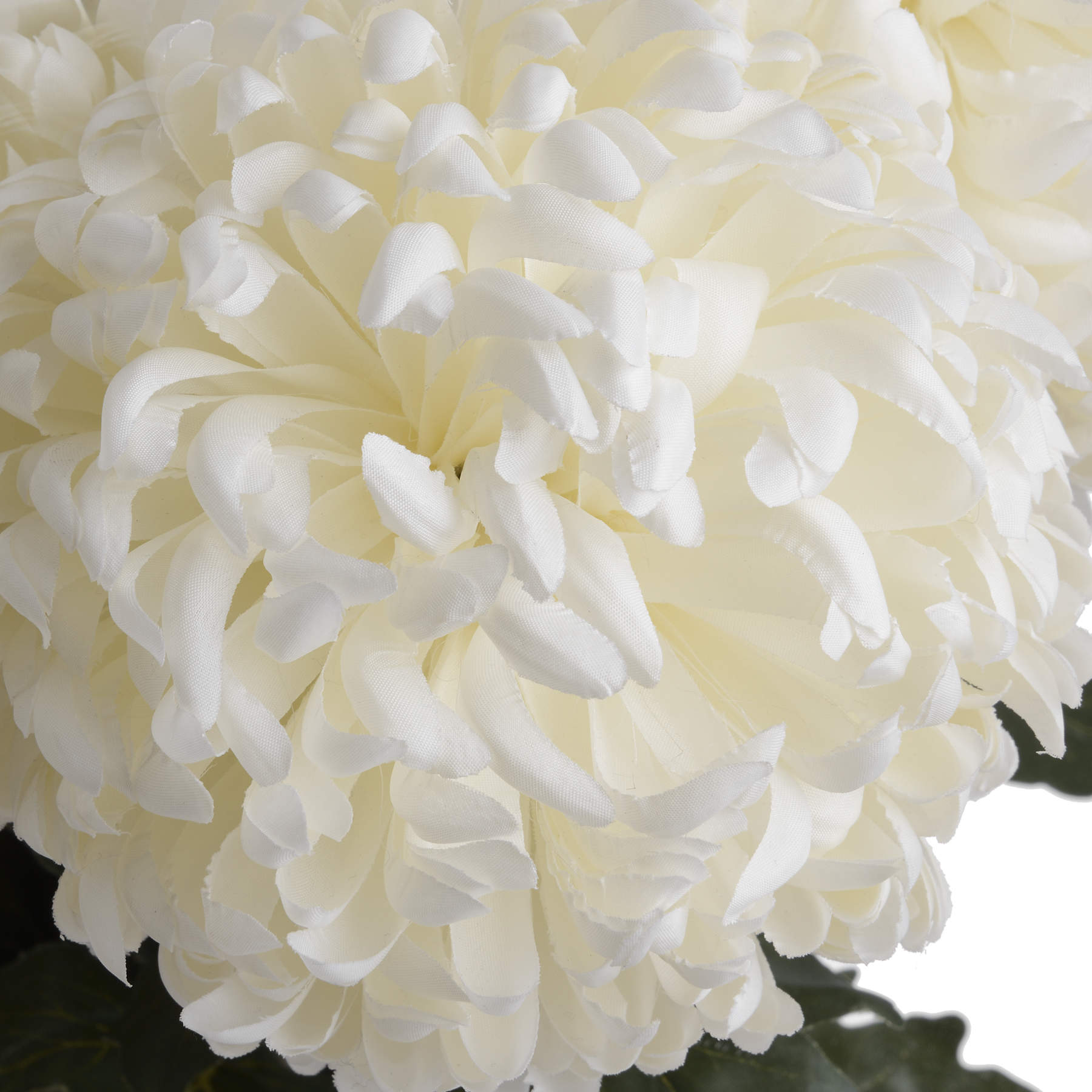 Large White Chrysanthemum — view 5 white plastic