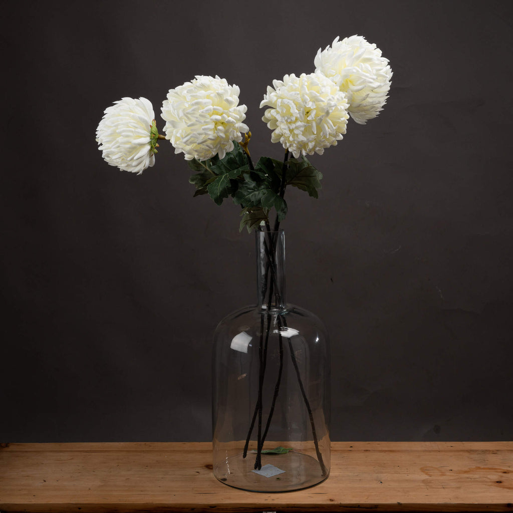 Large White Chrysanthemum — main product view