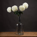Large White Chrysanthemum — main product view