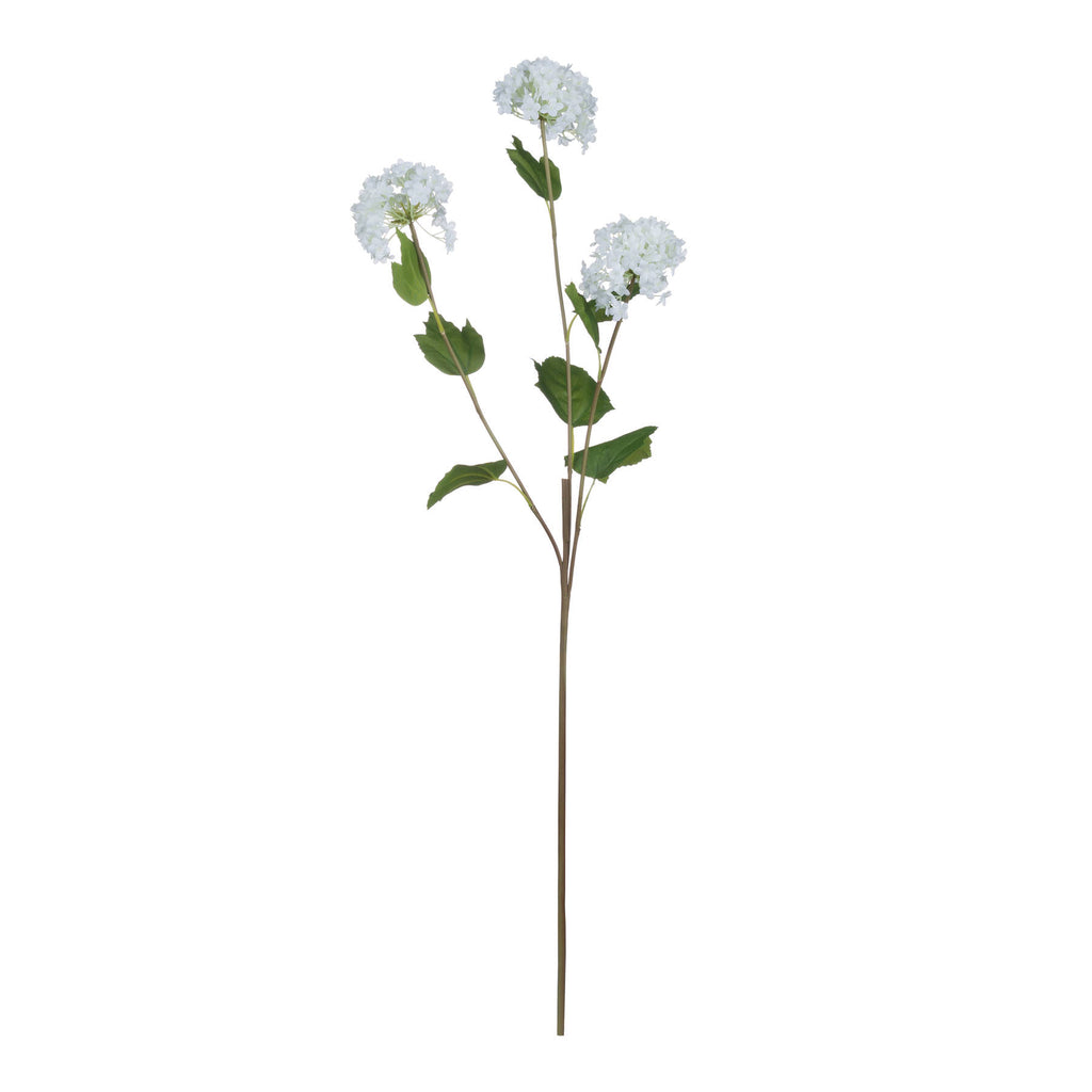 Viburnum Opulus — view 5 white plastic