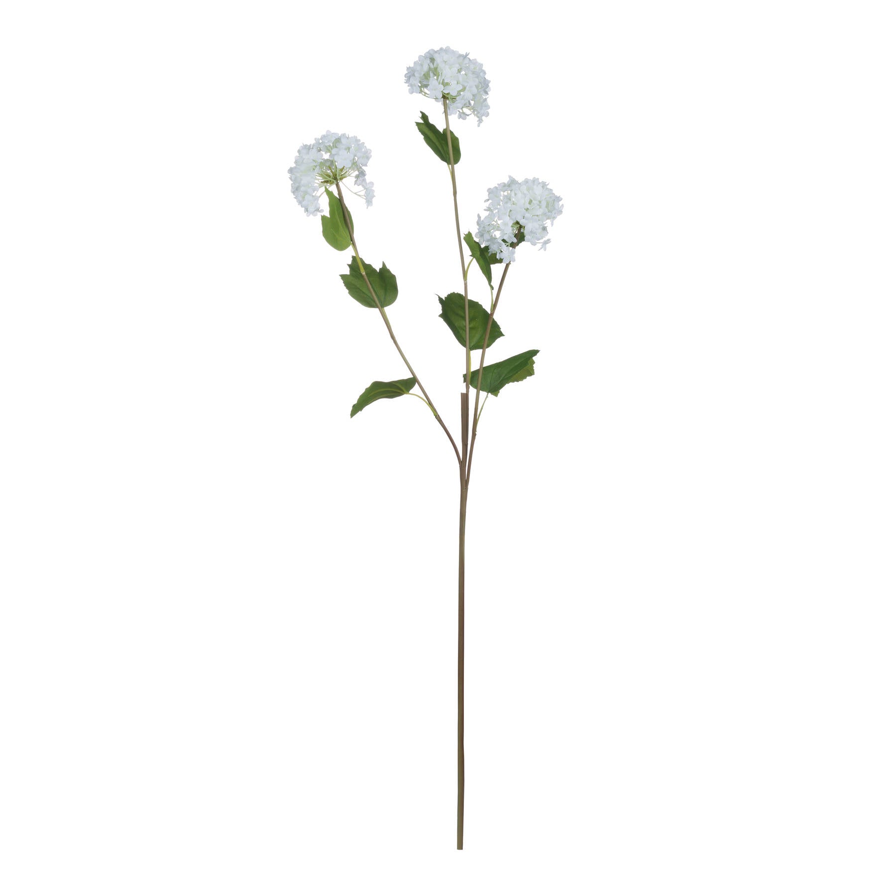 Viburnum Opulus — view 5 white plastic
