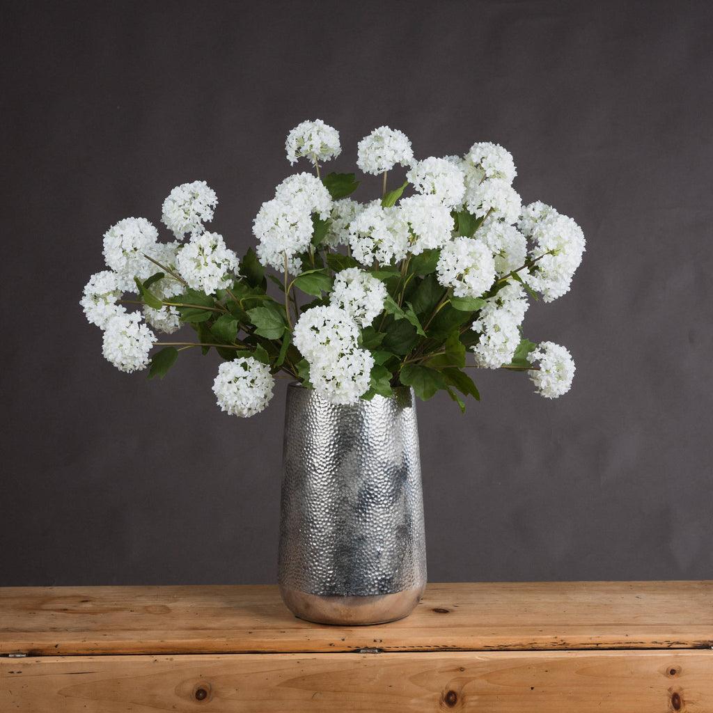 Viburnum Opulus — main product view