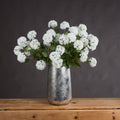 Viburnum Opulus — main product view