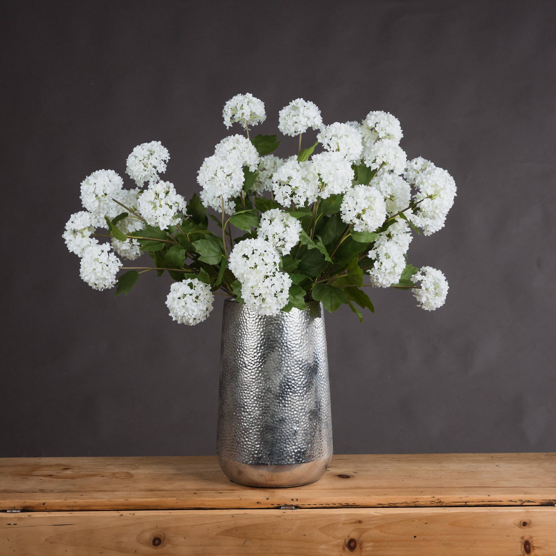 Viburnum Opulus — main product view
