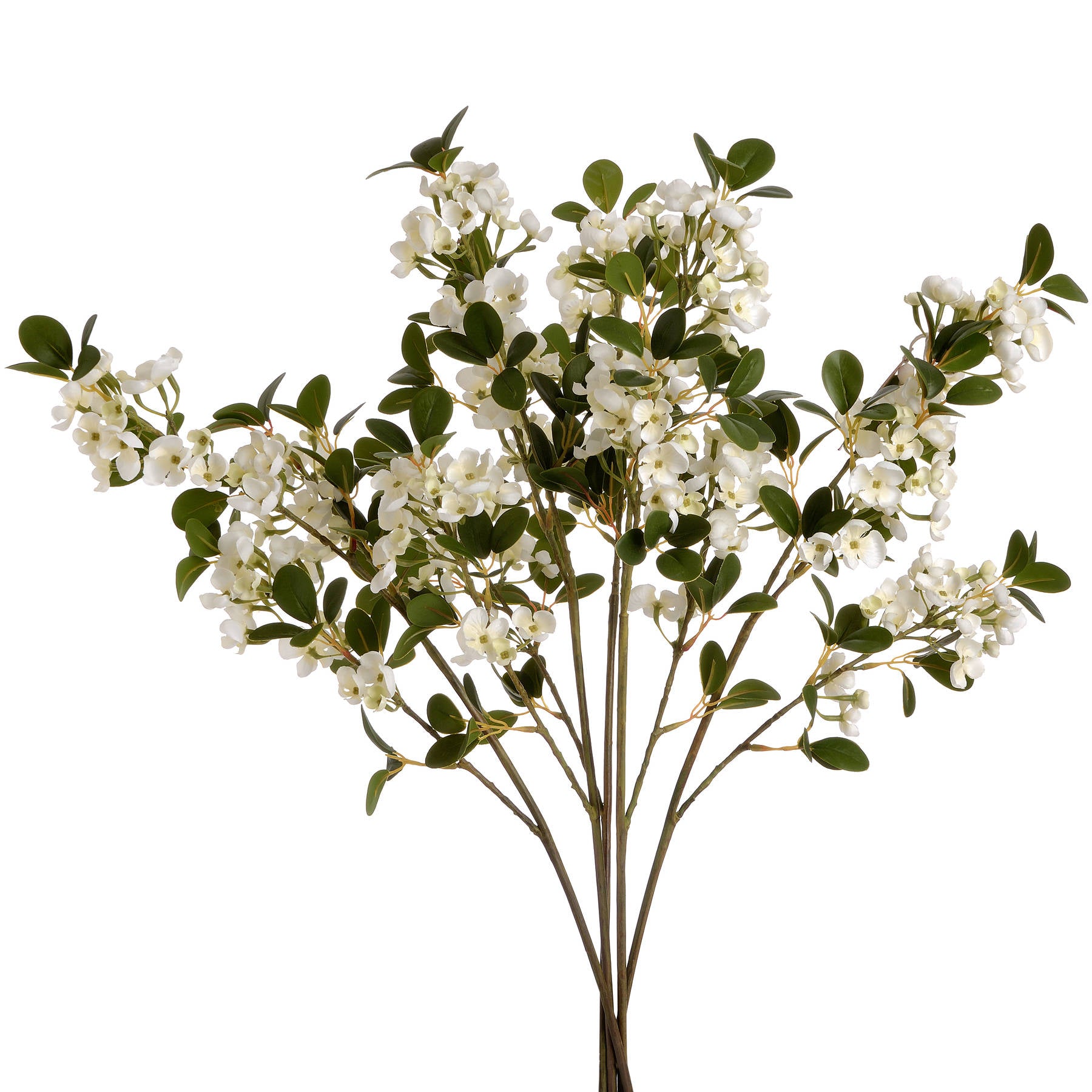White Spring Mock Orange Flower — alternative angle orange plastic