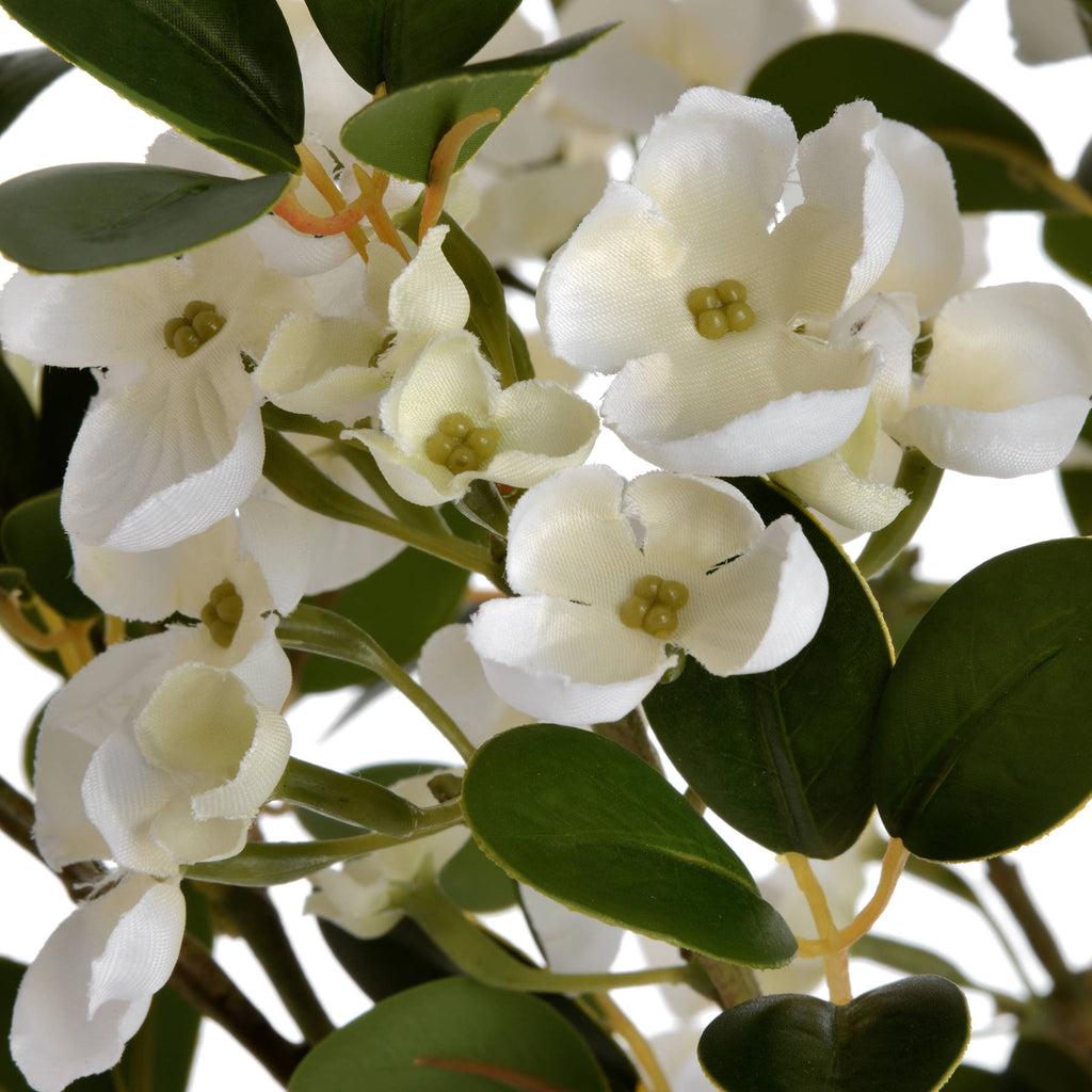 White Spring Mock Orange Flower — view 5 orange plastic