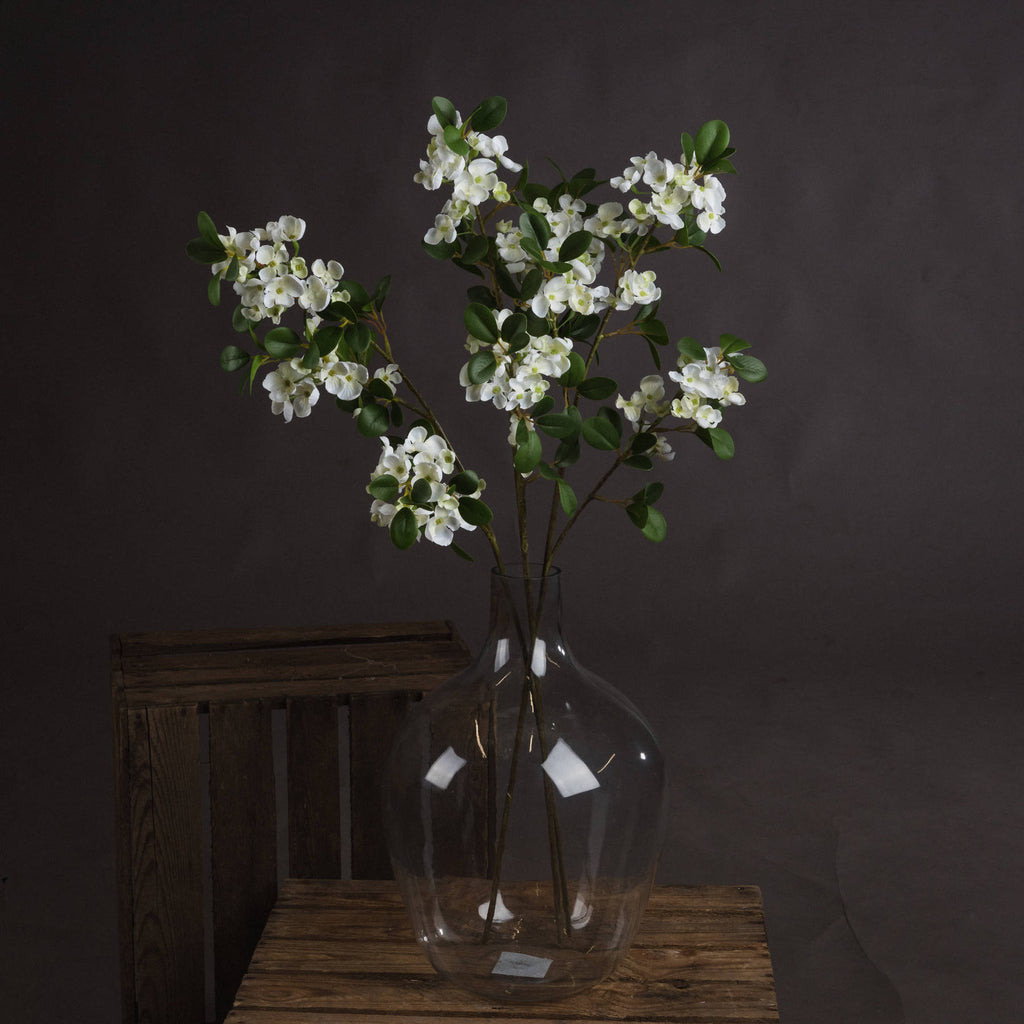 White Spring Mock Orange Flower — main product view