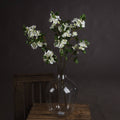 White Spring Mock Orange Flower — main product view