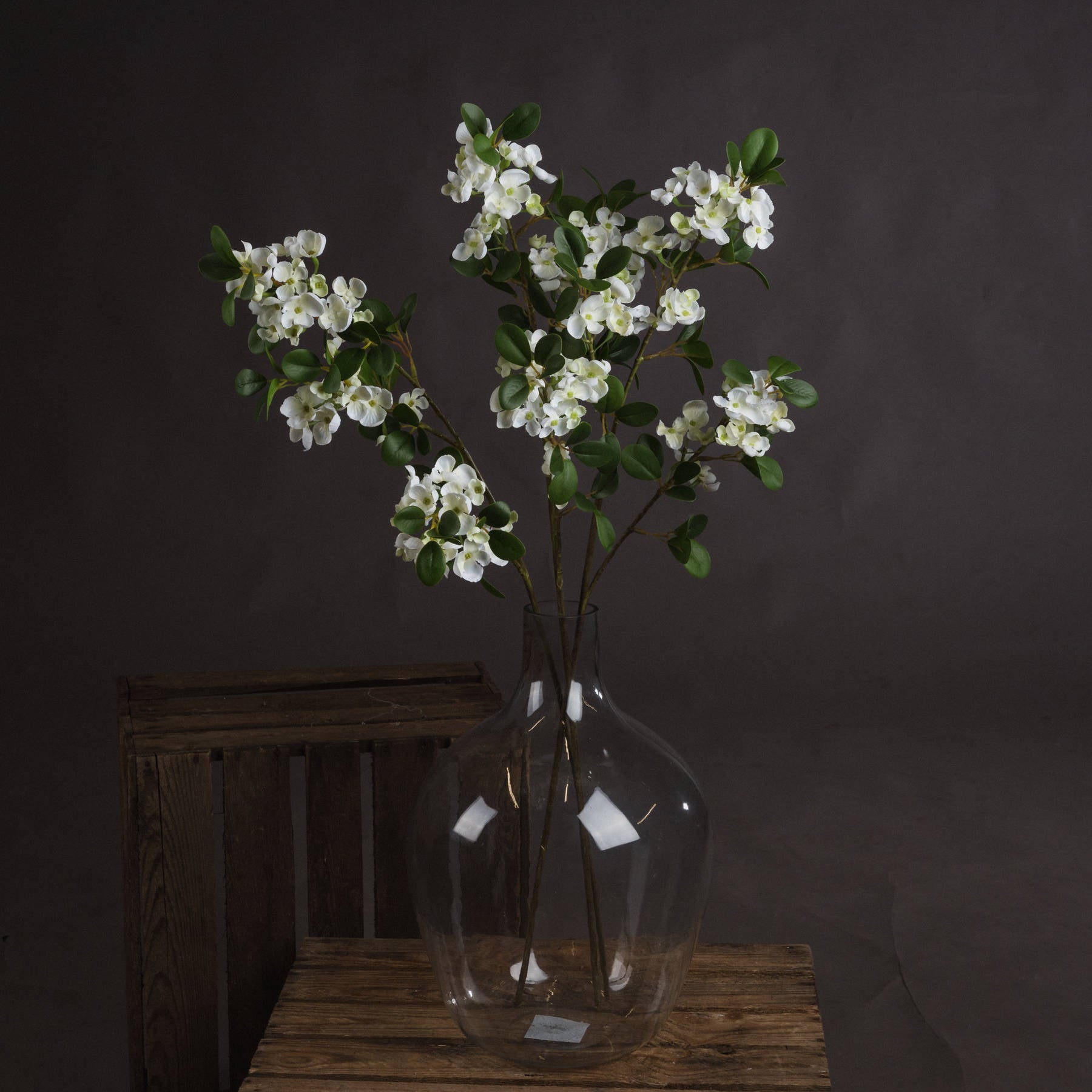 White Spring Mock Orange Flower — main product view