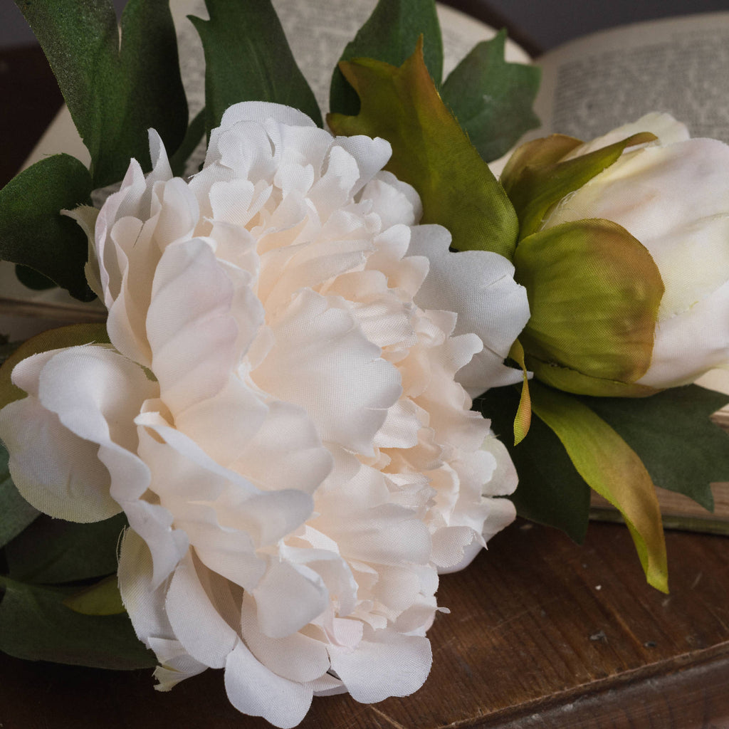 White Fashion Peony — detail close-up white plastic