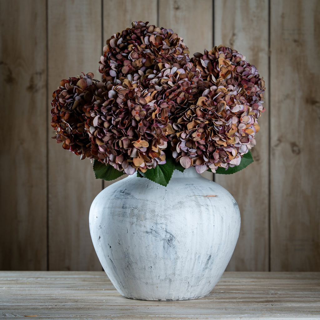Autumn Coffee Hydrangea — side view red plastic