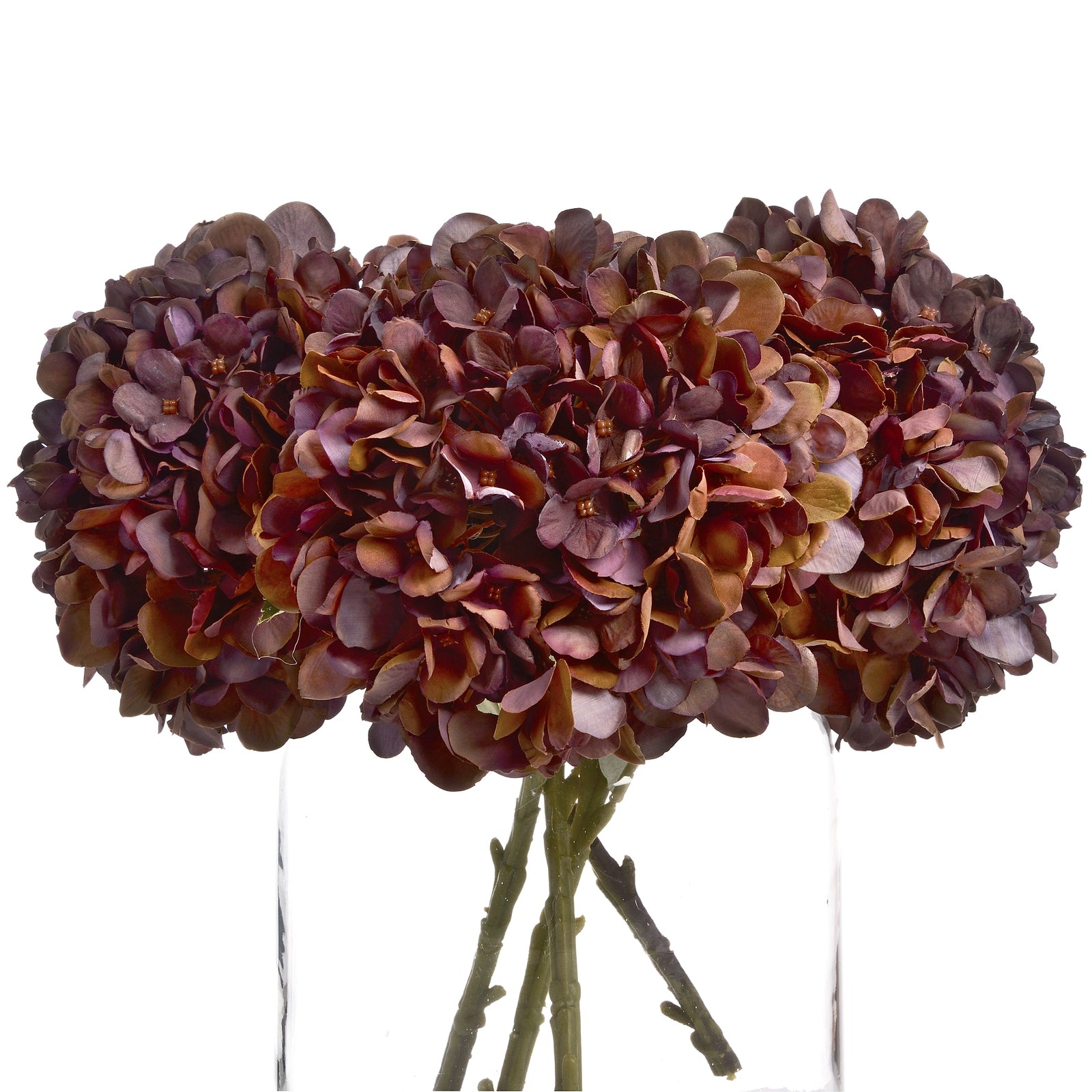 Autumn Coffee Hydrangea — detail close-up red plastic