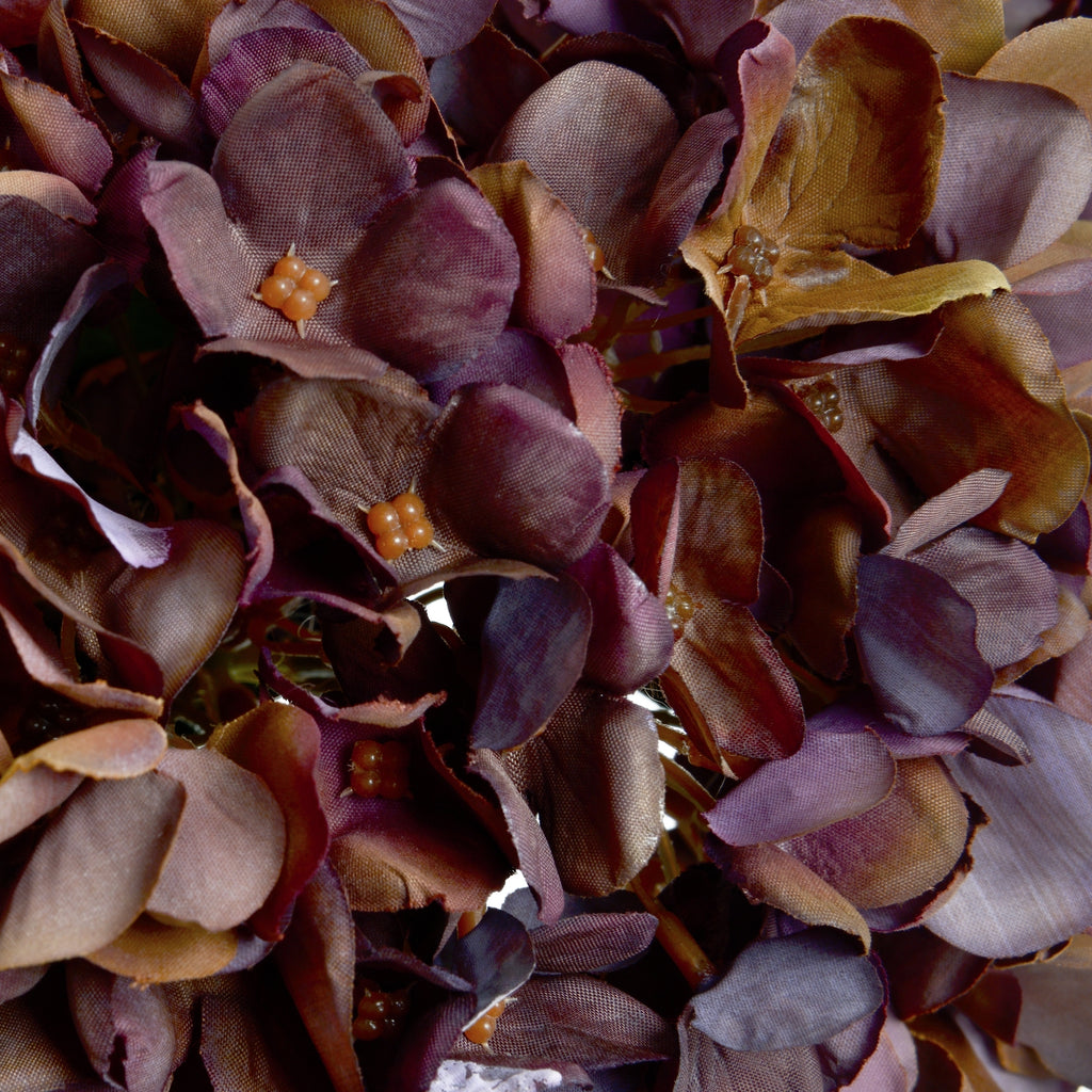 Autumn Coffee Hydrangea — alternative angle red plastic
