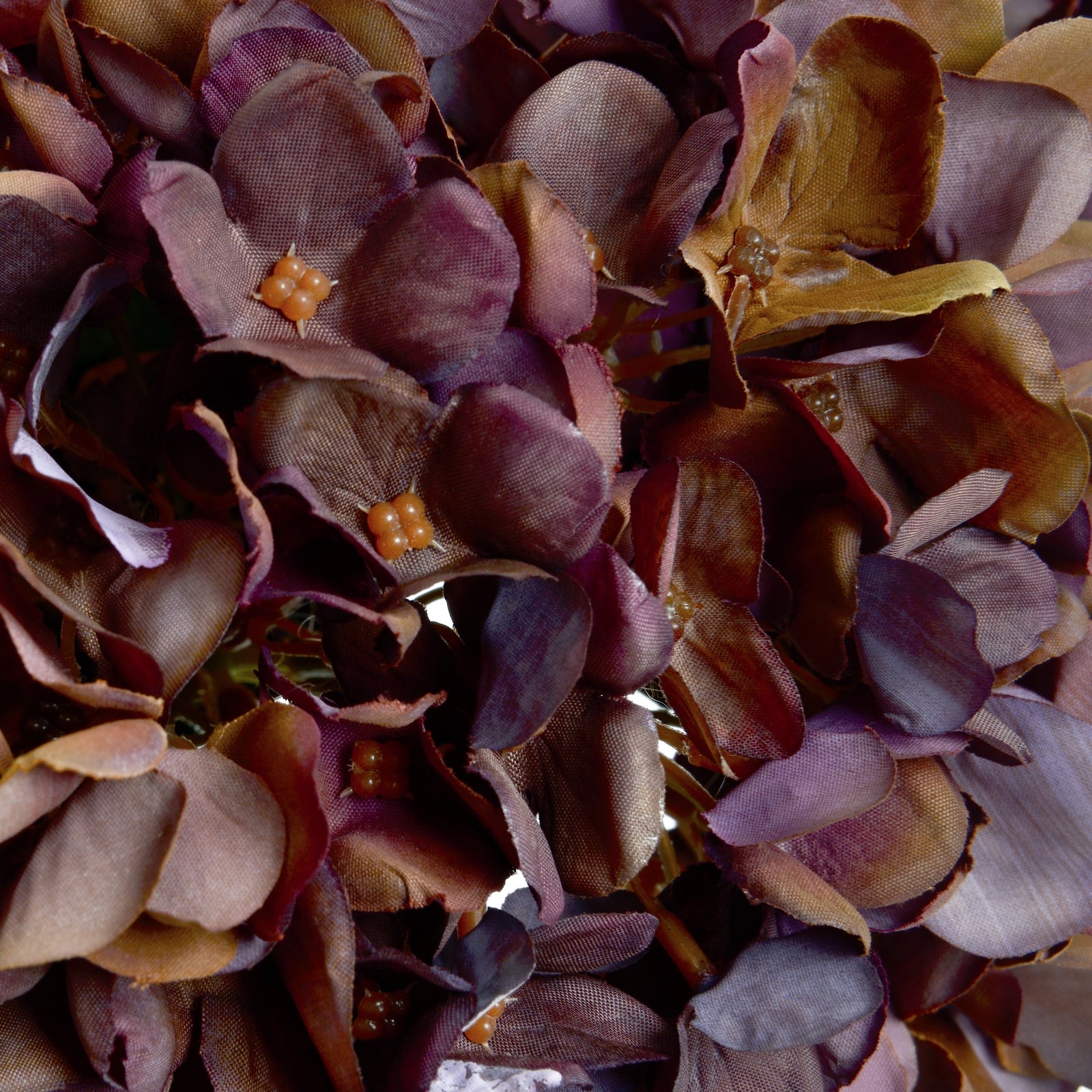 Autumn Coffee Hydrangea — alternative angle red plastic