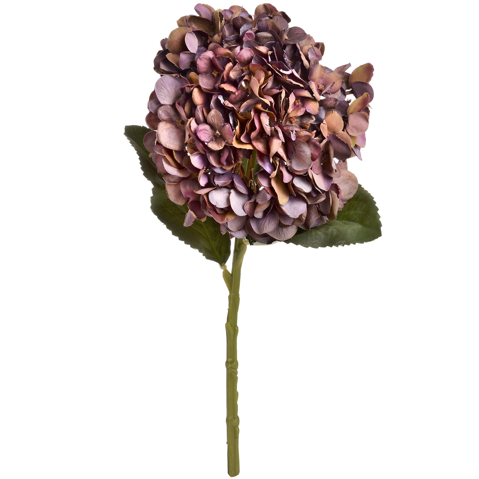 Autumn Coffee Hydrangea — view 5 red plastic