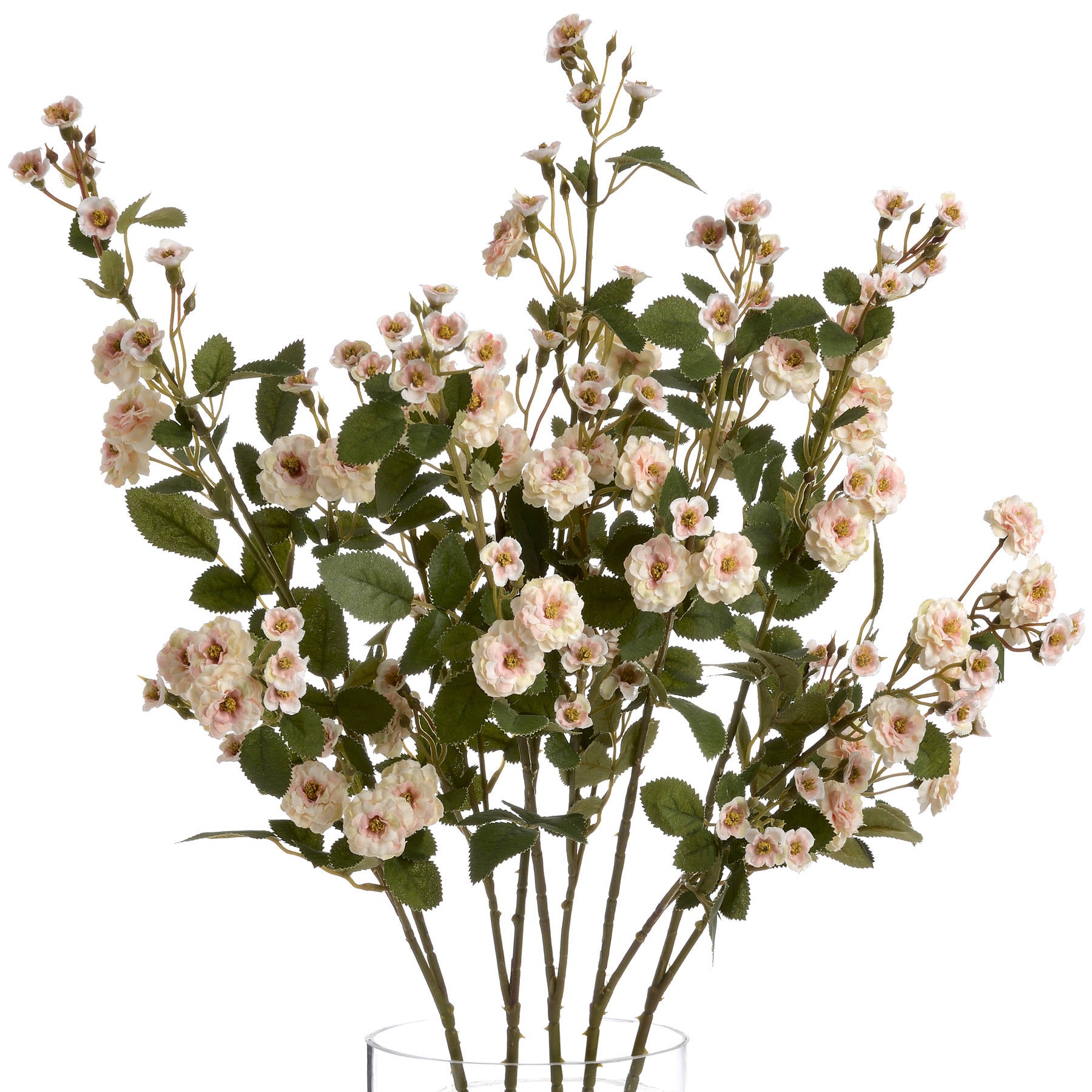 Cream Wild Meadow Rose — alternative angle cream plastic
