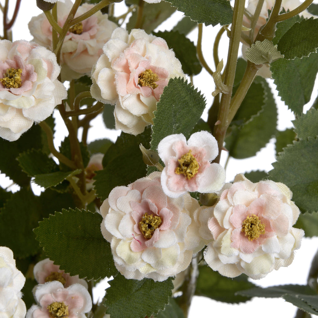 Cream Wild Meadow Rose — view 5 cream plastic