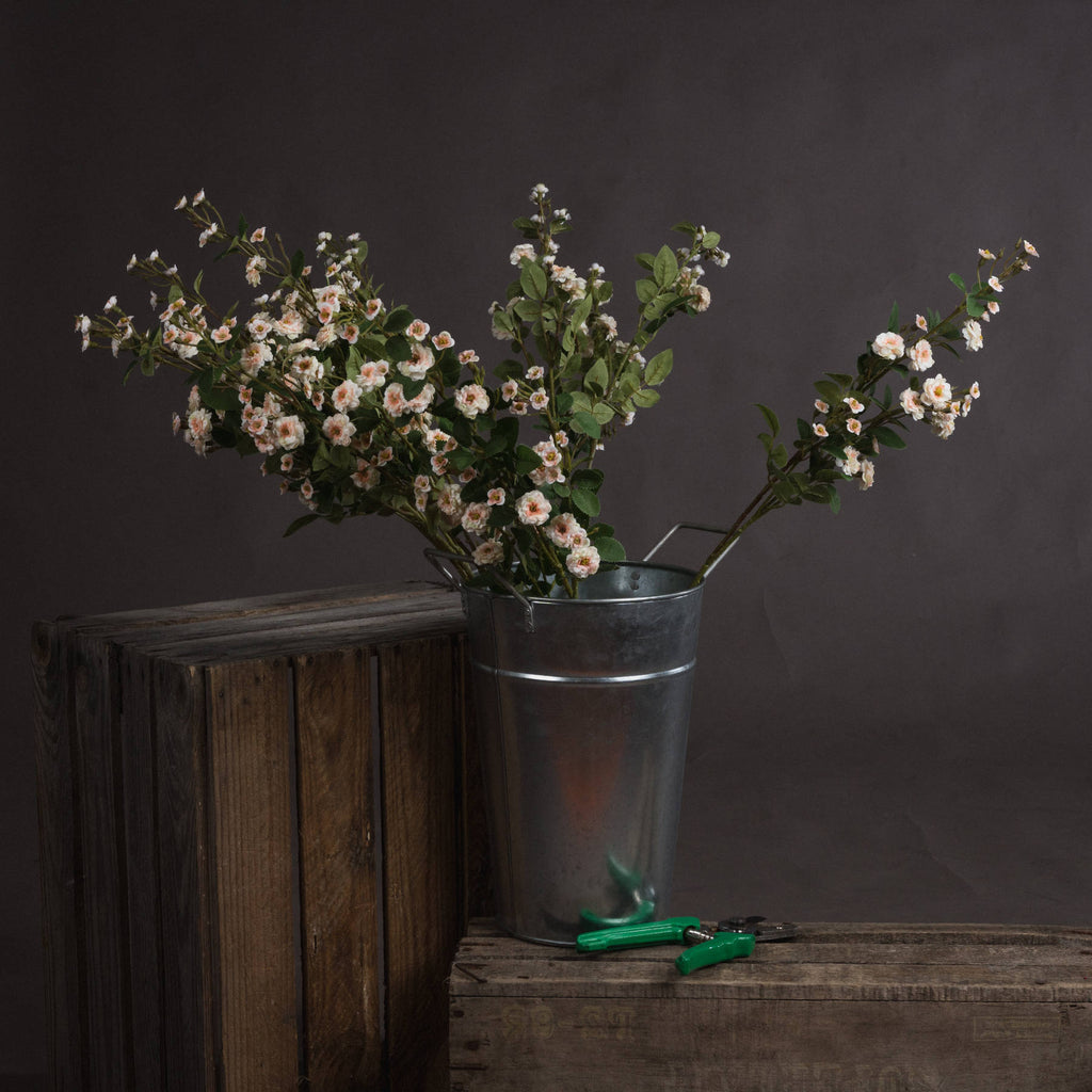 Cream Wild Meadow Rose — main product view