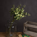 Green Wild Meadow Rose — main product view