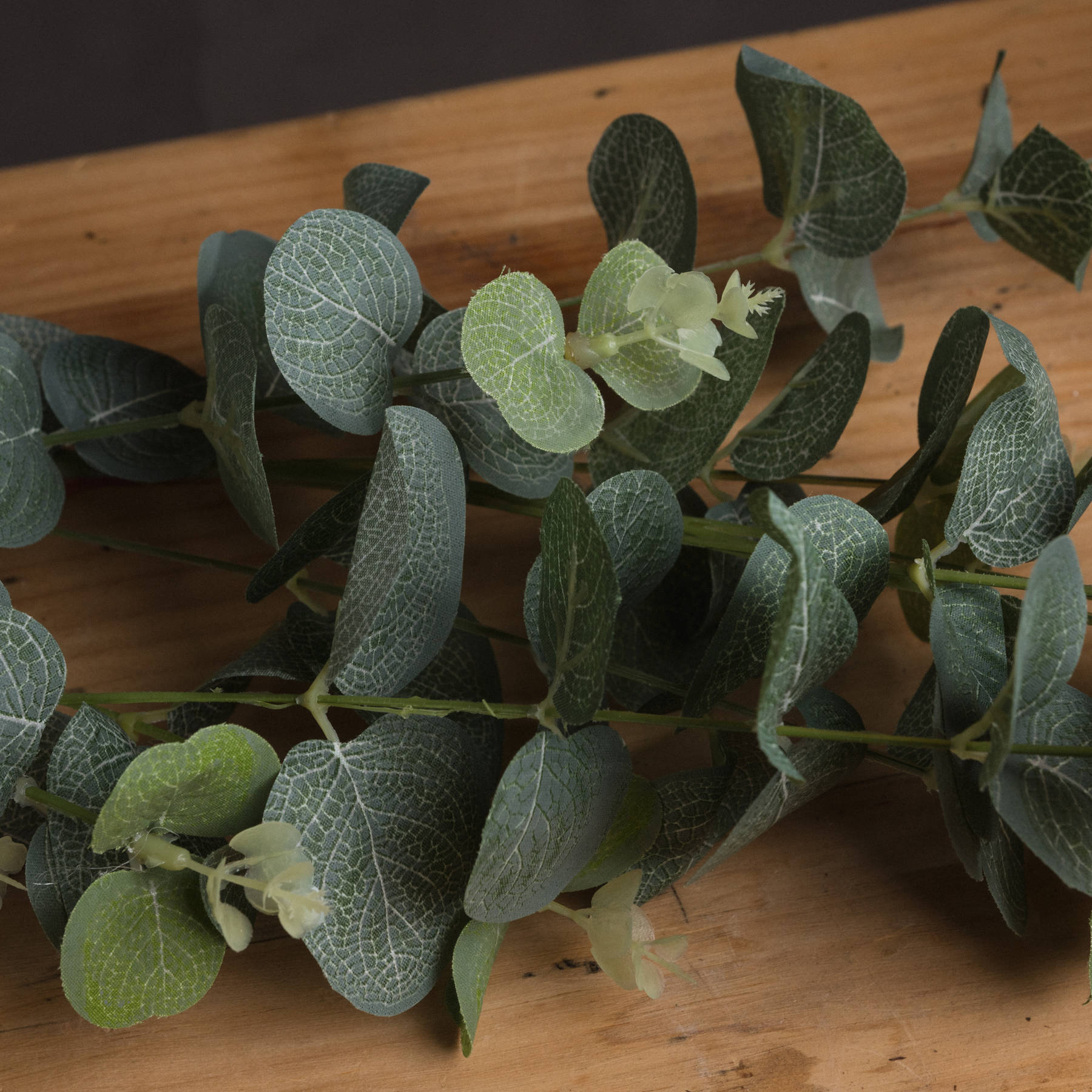 Eucalyptus Spray — detail close-up green plastic