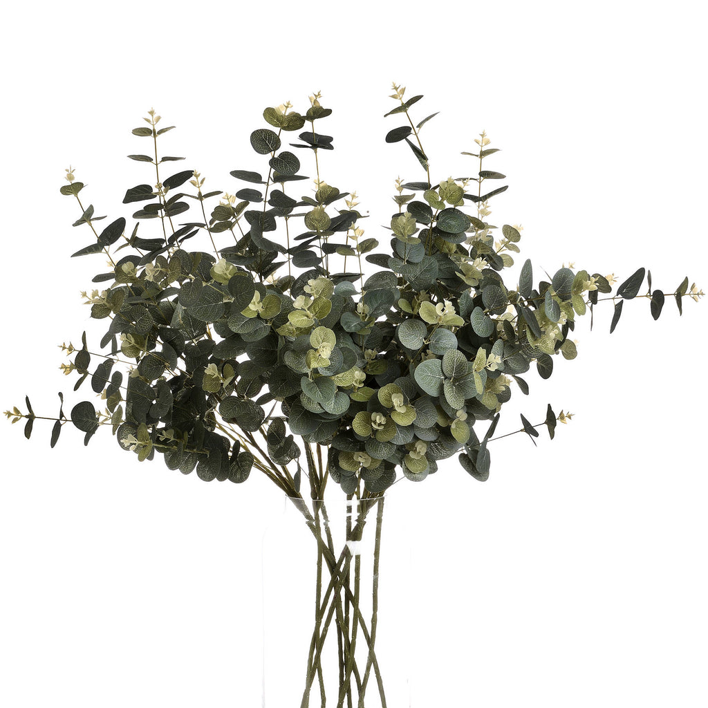 Eucalyptus Spray — alternative angle green plastic