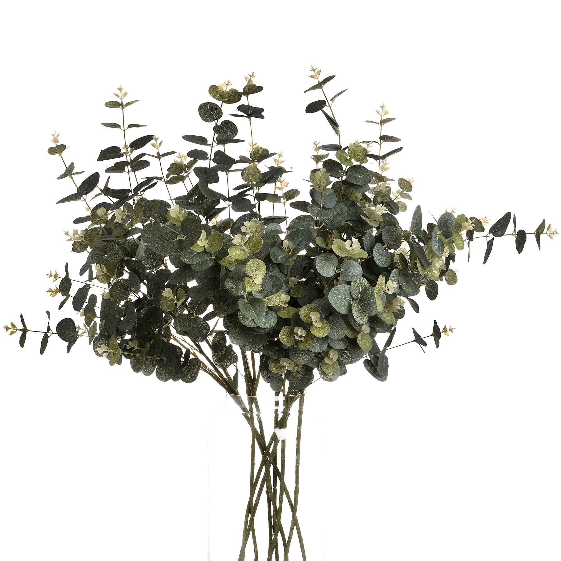 Eucalyptus Spray — alternative angle green plastic