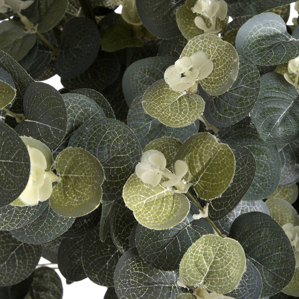 Eucalyptus Spray — view 5 green plastic